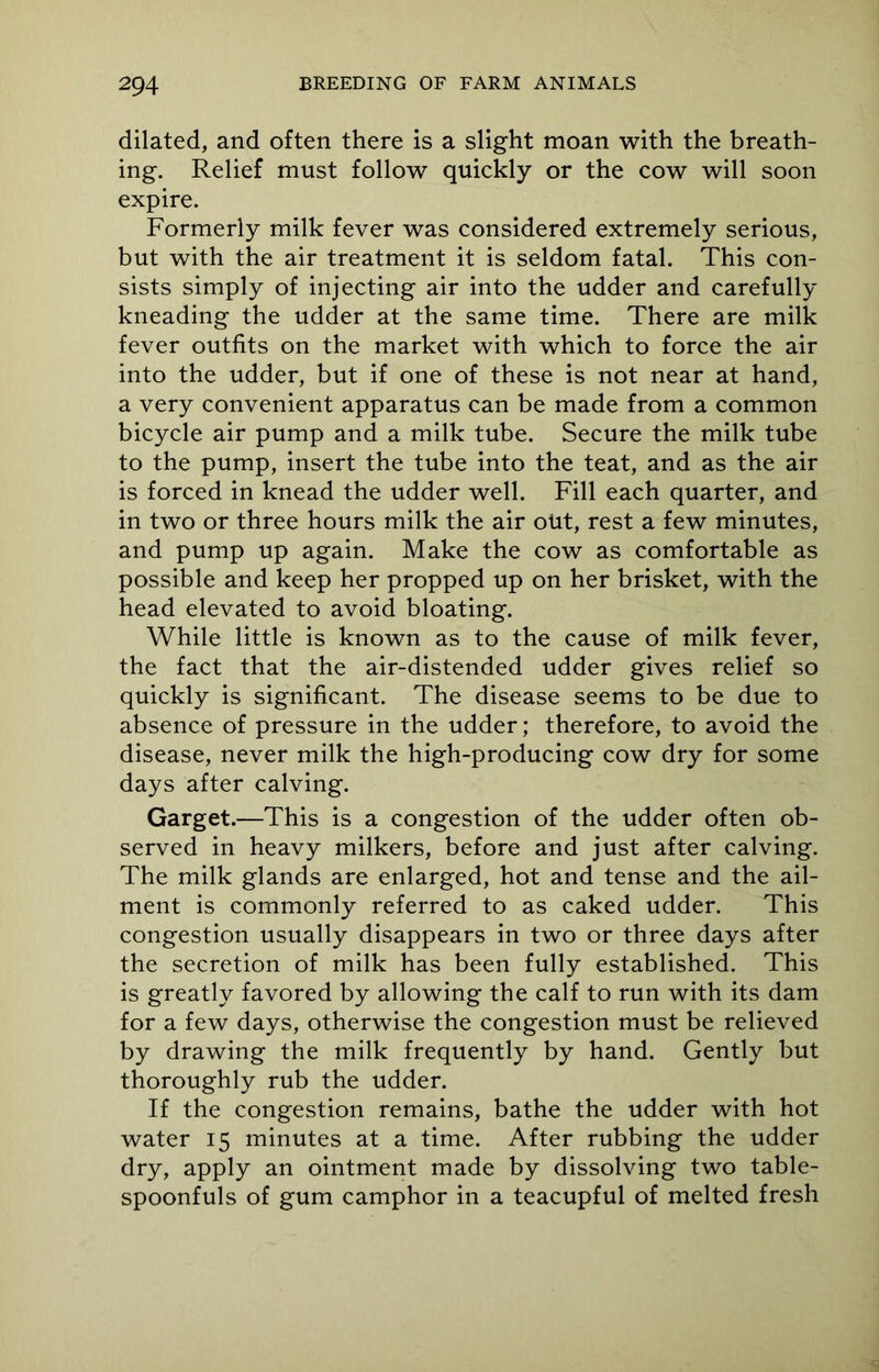 dilated, and often there is a slight moan with the breath- ing. Relief must follow quickly or the cow will soon expire. Formerly milk fever was considered extremely serious, but with the air treatment it is seldom fatal. This con- sists simply of injecting air into the udder and carefully kneading the udder at the same time. There are milk fever outfits on the market with which to force the air into the udder, but if one of these is not near at hand, a very convenient apparatus can be made from a common bicycle air pump and a milk tube. Secure the milk tube to the pump, insert the tube into the teat, and as the air is forced in knead the udder well. Fill each quarter, and in two or three hours milk the air out, rest a few minutes, and pump up again. Make the cow as comfortable as possible and keep her propped up on her brisket, with the head elevated to avoid bloating. While little is known as to the cause of milk fever, the fact that the air-distended udder gives relief so quickly is significant. The disease seems to be due to absence of pressure in the udder; therefore, to avoid the disease, never milk the high-producing cow dry for some days after calving. Garget.—This is a congestion of the udder often ob- served in heavy milkers, before and just after calving. The milk glands are enlarged, hot and tense and the ail- ment is commonly referred to as caked udder. This congestion usually disappears in two or three days after the secretion of milk has been fully established. This is greatly favored by allowing the calf to run with its dam for a few days, otherwise the congestion must be relieved by drawing the milk frequently by hand. Gently but thoroughly rub the udder. If the congestion remains, bathe the udder with hot water 15 minutes at a time. After rubbing the udder dry, apply an ointment made by dissolving two table- spoonfuls of gum camphor in a teacupful of melted fresh
