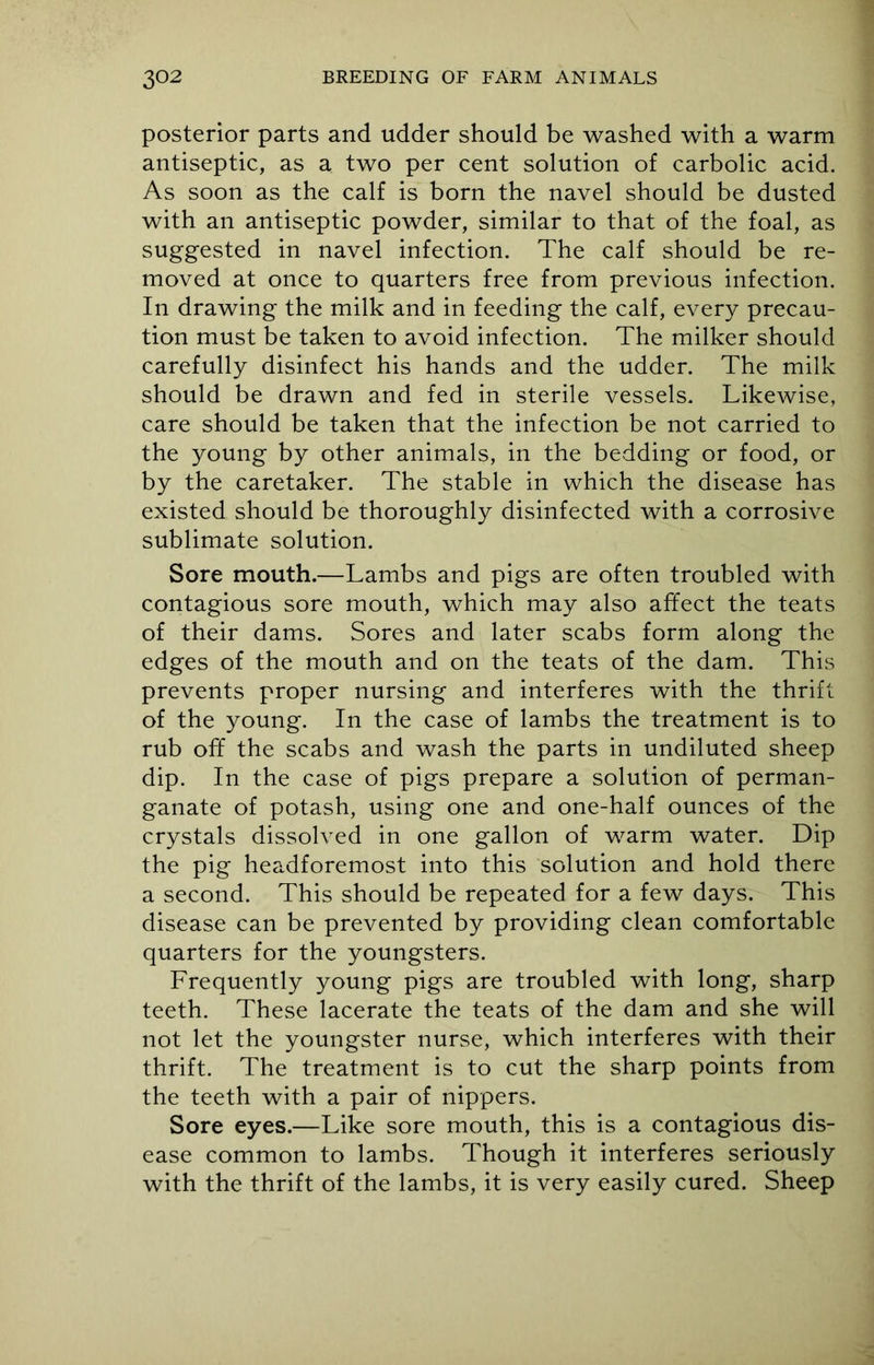 posterior parts and udder should be washed with a warm antiseptic, as a two per cent solution of carbolic acid. As soon as the calf is born the navel should be dusted with an antiseptic powder, similar to that of the foal, as suggested in navel infection. The calf should be re- moved at once to quarters free from previous infection. In drawing the milk and in feeding the calf, every precau- tion must be taken to avoid infection. The milker should carefully disinfect his hands and the udder. The milk should be drawn and fed in sterile vessels. Likewise, care should be taken that the infection be not carried to the young by other animals, in the bedding or food, or by the caretaker. The stable in which the disease has existed should be thoroughly disinfected with a corrosive sublimate solution. Sore mouth.—Lambs and pigs are often troubled with contagious sore mouth, which may also affect the teats of their dams. Sores and later scabs form along the edges of the mouth and on the teats of the dam. This prevents proper nursing and interferes with the thrift of the young. In the case of lambs the treatment is to rub off the scabs and wash the parts in undiluted sheep dip. In the case of pigs prepare a solution of perman- ganate of potash, using one and one-half ounces of the crystals dissolved in one gallon of warm water. Dip the pig headforemost into this solution and hold there a second. This should be repeated for a few days. This disease can be prevented by providing clean comfortable quarters for the youngsters. Frequently young pigs are troubled with long, sharp teeth. These lacerate the teats of the dam and she will not let the youngster nurse, which interferes with their thrift. The treatment is to cut the sharp points from the teeth with a pair of nippers. Sore eyes.—Like sore mouth, this is a contagious dis- ease common to lambs. Though it interferes seriously with the thrift of the lambs, it is very easily cured. Sheep