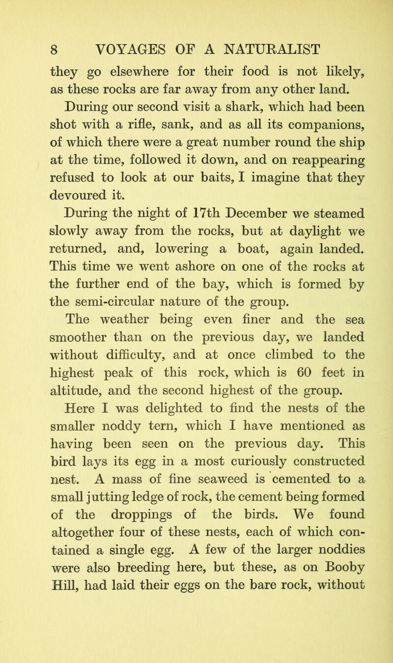 they go elsewhere for their food is not likely, as these rocks are far away from any other land. During our second visit a shark, which had been shot with a rifle, sank, and as all its companions, of which there were a great number round the ship at the time, followed it down, and on reappearing refused to look at our baits, I imagine that they devoured it. During the night of 17th December we steamed slowly away from the rocks, but at daylight we returned, and, lowering a boat, again landed. This time we went ashore on one of the rocks at the further end of the bay, which is formed by the semi-circular nature of the group. The weather being even finer and the sea smoother than on the previous day, we landed without difficulty, and at once climbed to the highest peak of this rock, which is 60 feet in altitude, and the second highest of the group. Here I was delighted to find the nests of the smaller noddy tern, which I have mentioned as having been seen on the previous day. This bird lays its egg in a most curiously constructed nest. A mass of fine seaweed is cemented to a small jutting ledge of rock, the cement being formed of the droppings of the birds. We found altogether four of these nests, each of which con- tained a single egg. A few of the larger noddies were also breeding here, but these, as on Booby Hill, had laid their eggs on the bare rock, without