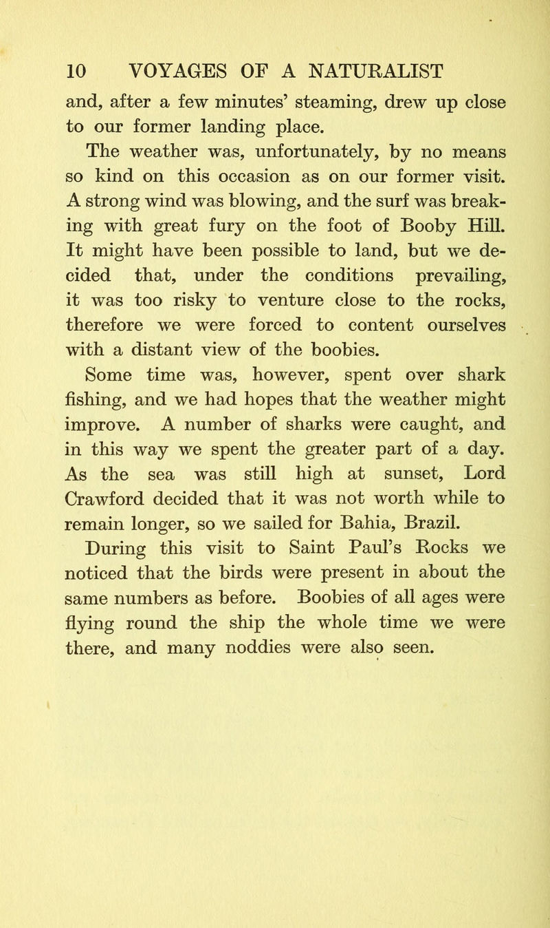 and, after a few minutes’ steaming, drew up close to our former landing place. The weather was, unfortunately, by no means so kind on this occasion as on our former visit. A strong wind was blowing, and the surf was break- ing with great fury on the foot of Booby Hill. It might have been possible to land, but we de- cided that, under the conditions prevailing, it was too risky to venture close to the rocks, therefore we were forced to content ourselves with a distant view of the boobies. Some time was, however, spent over shark fishing, and we had hopes that the weather might improve. A number of sharks were caught, and in this way we spent the greater part of a day. As the sea was still high at sunset, Lord Crawford decided that it was not worth while to remain longer, so we sailed for Bahia, Brazil. During this visit to Saint Paul’s Rocks we noticed that the birds were present in about the same numbers as before. Boobies of all ages were flying round the ship the whole time we were there, and many noddies were also seen.