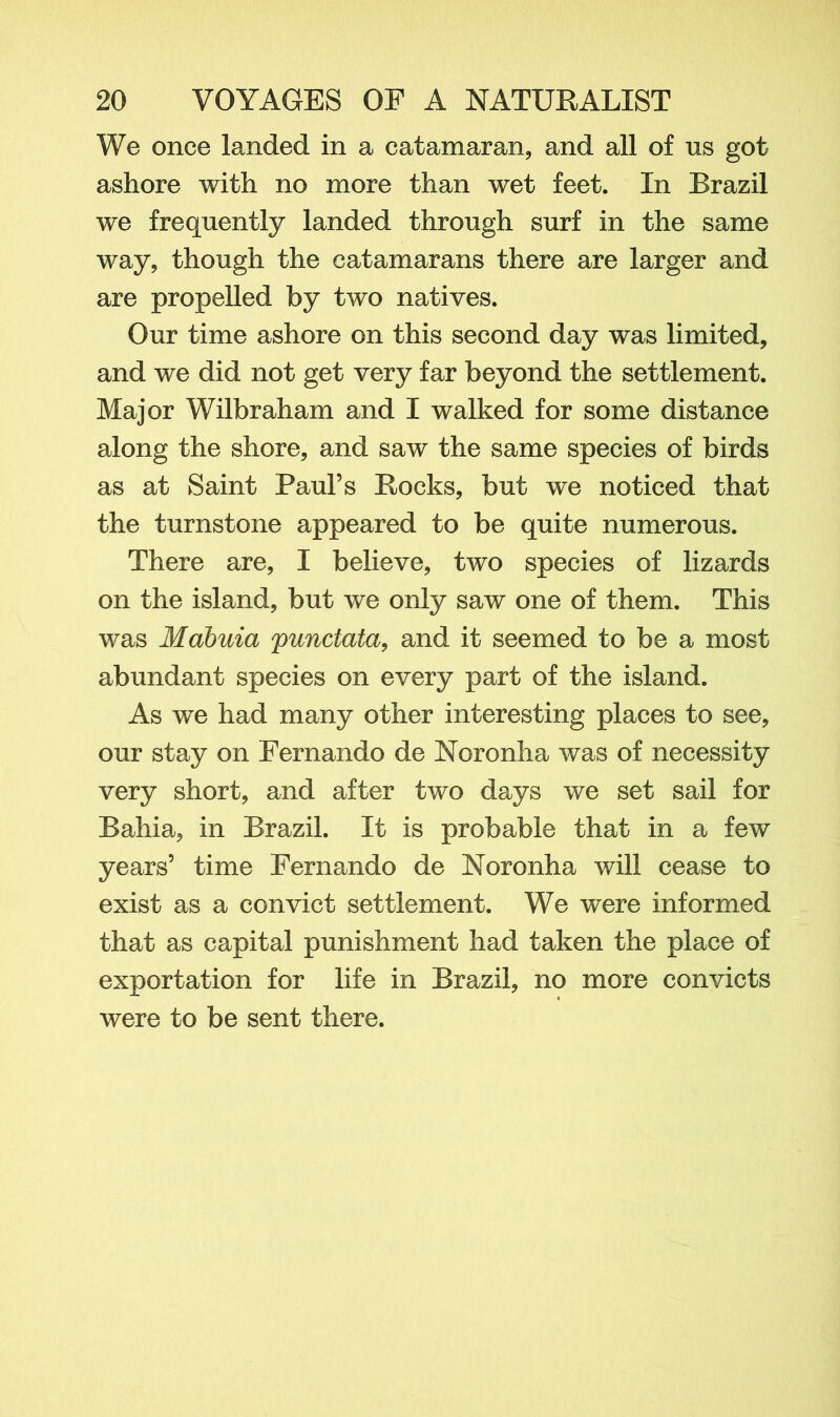 We once landed in a catamaran, and all of us got ashore with no more than wet feet. In Brazil we frequently landed through surf in the same way, though the catamarans there are larger and are propelled by two natives. Our time ashore on this second day was limited, and we did not get very far beyond the settlement. Major Wilbraham and I walked for some distance along the shore, and saw the same species of birds as at Saint Paul’s Rocks, but we noticed that the turnstone appeared to be quite numerous. There are, I believe, two species of lizards on the island, but we only saw one of them. This was Mabuia punctata, and it seemed to be a most abundant species on every part of the island. As we had many other interesting places to see, our stay on Fernando de Noronha was of necessity very short, and after two days we set sail for Bahia, in Brazil. It is probable that in a few years’ time Fernando de Noronha will cease to exist as a convict settlement. We were informed that as capital punishment had taken the place of exportation for life in Brazil, no more convicts were to be sent there.