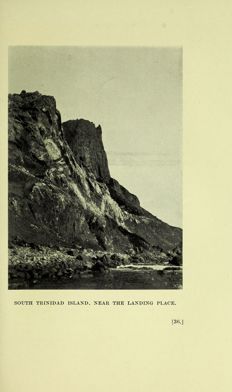 SOUTH TRINIDAD ISLAND, NEAR THE LANDING PLACE. [36.]