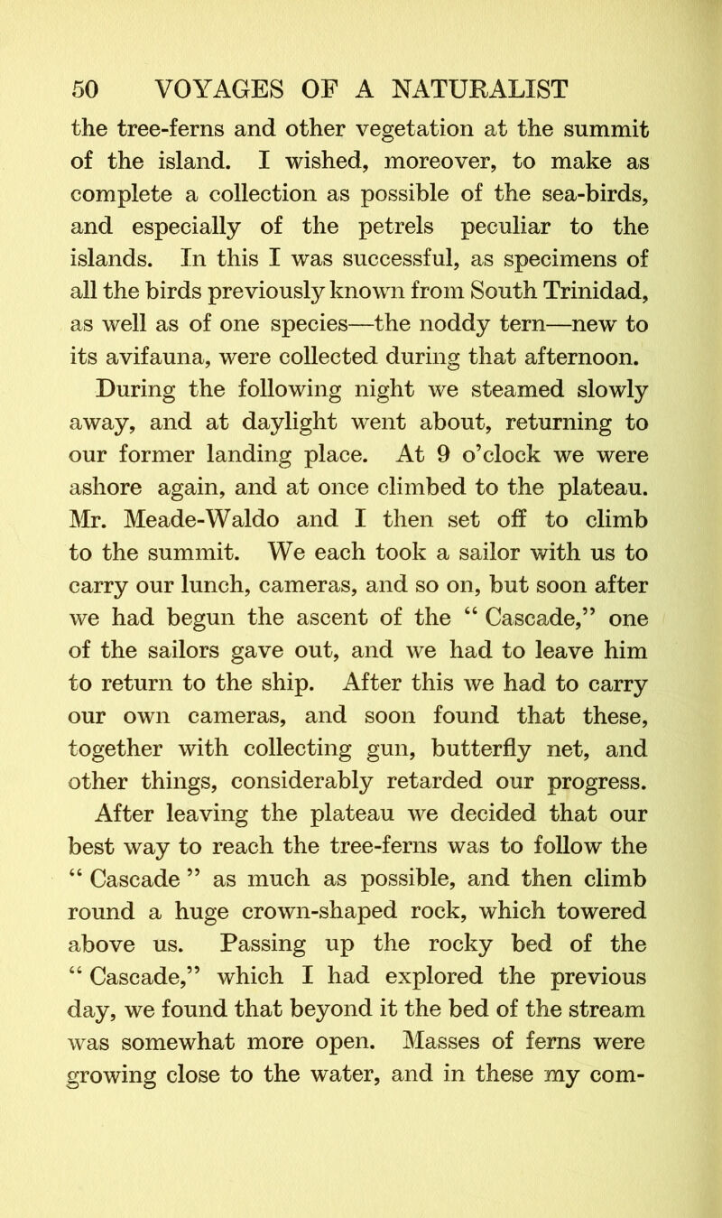 the tree-ferns and other vegetation at the summit of the island. I wished, moreover, to make as complete a collection as possible of the sea-birds, and especially of the petrels peculiar to the islands. In this I was successful, as specimens of all the birds previously known from South Trinidad, as well as of one species—the noddy tern—new to its avifauna, were collected during that afternoon. During the following night we steamed slowly away, and at daylight went about, returning to our former landing place. At 9 o’clock we were ashore again, and at once climbed to the plateau. Mr. Meade-Waldo and I then set off to climb to the summit. We each took a sailor with us to carry our lunch, cameras, and so on, but soon after we had begun the ascent of the 44 Cascade,” one of the sailors gave out, and we had to leave him to return to the ship. After this we had to carry our own cameras, and soon found that these, together with collecting gun, butterfly net, and other things, considerably retarded our progress. After leaving the plateau we decided that our best way to reach the tree-ferns was to follow the 46 Cascade ” as much as possible, and then climb round a huge crown-shaped rock, which towered above us. Passing up the rocky bed of the 64 Cascade,” which I had explored the previous day, we found that beyond it the bed of the stream was somewhat more open. Masses of ferns were growing close to the water, and in these my com-