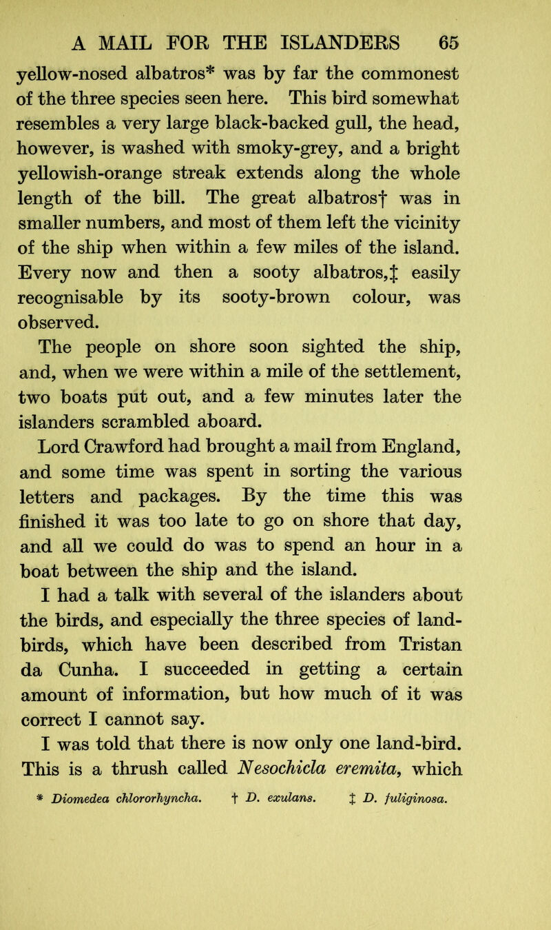 yellow-nosed albatros* was by far the commonest of the three species seen here. This bird somewhat resembles a very large black-backed gull, the head, however, is washed with smoky-grey, and a bright yellowish-orange streak extends along the whole length of the bill. The great albatrosf was in smaller numbers, and most of them left the vicinity of the ship when within a few miles of the island. Every now and then a sooty albatrosf easily recognisable by its sooty-brown colour, was observed. The people on shore soon sighted the ship, and, when we were within a mile of the settlement, two boats put out, and a few minutes later the islanders scrambled aboard. Lord Crawford had brought a mail from England, and some time was spent in sorting the various letters and packages. By the time this was finished it was too late to go on shore that day, and all we could do was to spend an hour in a boat between the ship and the island. I had a talk with several of the islanders about the birds, and especially the three species of land- birds, which have been described from Tristan da Cunha. I succeeded in getting a certain amount of information, but how much of it was correct I cannot say. I was told that there is now only one land-bird. This is a thrush called Nesochicla eremita, which * Diomedea chlororhyncha. + D. exulans. X D. fuliginosa.