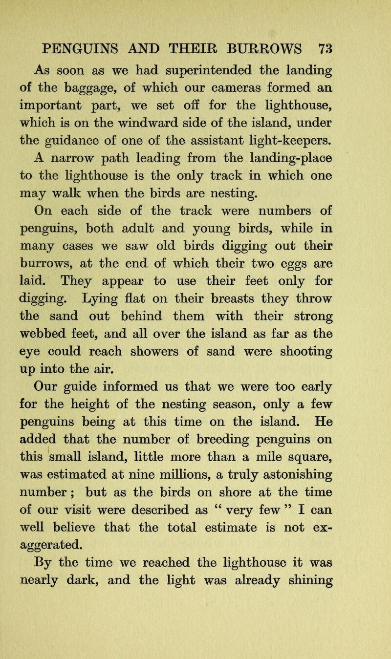 As soon as we had superintended the landing of the baggage, of which our cameras formed an important part, we set off for the lighthouse, which is on the windward side of the island, under the guidance of one of the assistant light-keepers. A narrow path leading from the landing-place to the lighthouse is the only track in which one may walk when the birds are nesting. On each side of the track were numbers of penguins, both adult and young birds, while in many cases we saw old birds digging out their burrows, at the end of which their two eggs are laid. They appear to use their feet only for digging. Lying flat on their breasts they throw the sand out behind them with their strong webbed feet, and all over the island as far as the eye could reach showers of sand were shooting up into the air. Our guide informed us that we were too early for the height of the nesting season, only a few penguins being at this time on the island. He added that the number of breeding penguins on this small island, little more than a mile square, was estimated at nine millions, a truly astonishing number; but as the birds on shore at the time of our visit were described as “ very few 55 I can well believe that the total estimate is not ex- aggerated. By the time we reached the lighthouse it was nearly dark, and the light was already shining