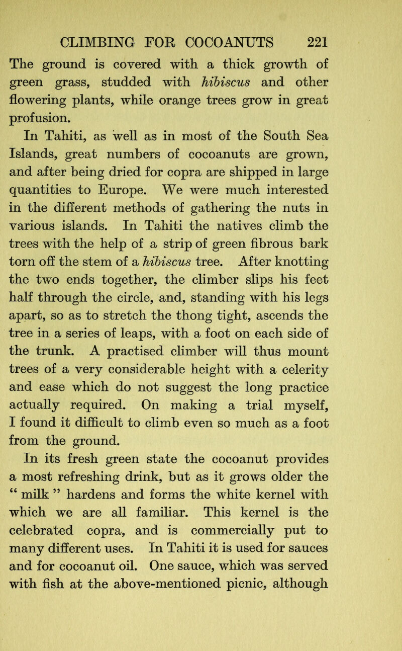 The ground is covered with a thick growth of green grass, studded with hibiscus and other flowering plants, while orange trees grow in great profusion. In Tahiti, as well as in most of the South Sea Islands, great numbers of cocoanuts are grown, and after being dried for copra are shipped in large quantities to Europe. We were much interested in the different methods of gathering the nuts in various islands. In Tahiti the natives climb the trees with the help of a strip of green fibrous bark torn off the stem of a hibiscus tree. After knotting the two ends together, the climber slips his feet half through the circle, and, standing with his legs apart, so as to stretch the thong tight, ascends the tree in a series of leaps, with a foot on each side of the trunk. A practised climber will thus mount trees of a very considerable height with a celerity and ease which do not suggest the long practice actually required. On making a trial myself, I found it difficult to climb even so much as a foot from the ground. In its fresh green state the cocoanut provides a most refreshing drink, but as it grows older the “ milk ” hardens and forms the white kernel with which we are all familiar. This kernel is the celebrated copra, and is commercially put to many different uses. In Tahiti it is used for sauces and for cocoanut oil. One sauce, which was served with fish at the above-mentioned picnic, although