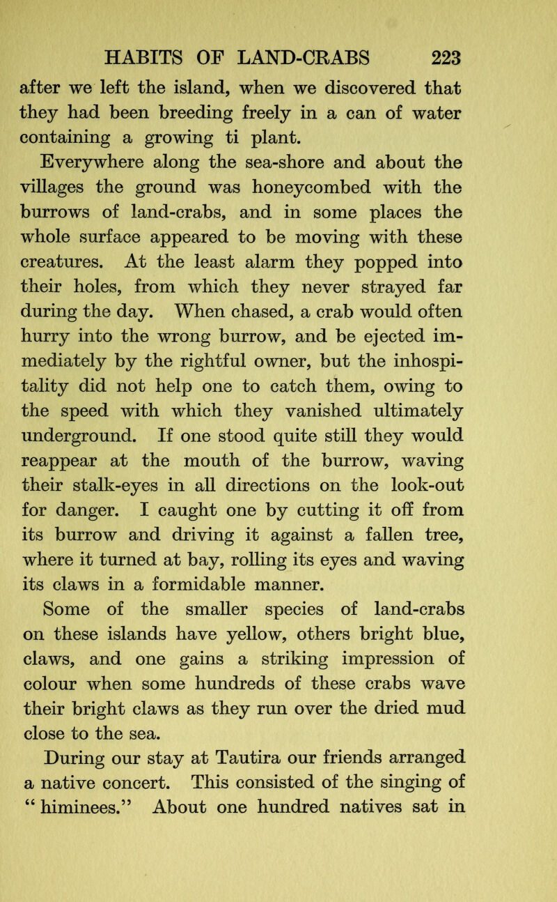 after we left the island, when we discovered that they had been breeding freely in a can of water containing a growing ti plant. Everywhere along the sea-shore and about the villages the ground was honeycombed with the burrows of land-crabs, and in some places the whole surface appeared to be moving with these creatures. At the least alarm they popped into their holes, from which they never strayed far during the day. When chased, a crab would often hurry into the wrong burrow, and be ejected im- mediately by the rightful owner, but the inhospi- tality did not help one to catch them, owing to the speed with which they vanished ultimately underground. If one stood quite still they would reappear at the mouth of the burrow, waving their stalk-eyes in all directions on the look-out for danger. I caught one by cutting it off from its burrow and driving it against a fallen tree, where it turned at bay, rolling its eyes and waving its claws in a formidable manner. Some of the smaller species of land-crabs on these islands have yellow, others bright blue, claws, and one gains a striking impression of colour when some hundreds of these crabs wave their bright claws as they run over the dried mud close to the sea. During our stay at Tautira our friends arranged a native concert. This consisted of the singing of 66 himinees.” About one hundred natives sat in