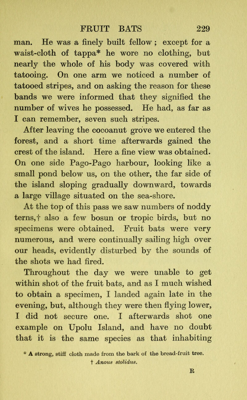 man. He was a finely built fellow ; except for a waist-cloth of tappa* he wore no clothing, but nearly the whole of his body was covered with tatooing. On one arm we noticed a number of tatooed stripes, and on asking the reason for these bands we were informed that they signified the number of wives he possessed. He had, as far as I can remember, seven such stripes. After leaving the cocoanut grove we entered the forest, and a short time afterwards gained the crest of the island. Here a fine view was obtained. On one side Pago-Pago harbour, looking like a small pond below us, on the other, the far side of the island sloping gradually downward, towards a large village situated on the sea-shore. At the top of this pass we saw numbers of noddy terns, t also a few bosun or tropic birds, but no specimens were obtained. Fruit bats were very numerous, and were continually sailing high over our heads, evidently disturbed by the sounds of the shots we had fired. Throughout the day we were unable to get within shot of the fruit bats, and as I much wished to obtain a specimen, I landed again late in the evening, but, although they were then flying lower, I did not secure one. I afterwards shot one example on Upolu Island, and have no doubt that it is the same species as that inhabiting # A strong, stiff cloth made from the bark of the bread-fruit tree, t Anous stolidus.