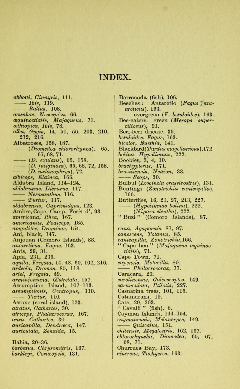 abbotti, Cinnyris, 111. Ibis, 119. Rallus, 108. acunhae, Nesospiza, 66. cequinoctialis, Majaqueus, 71. cethiopica, Ibis, 78. alba, Gygis, 14, 51, 56, 203, 210, 212, 216. Albatroses, 158, 187. (Diomedea chlororhynca), 65, 67, 68, 71. (D. exulans), 65, 158. (D. fuliginosa), 65, 68, 72, 158. (D. melanophrys), 72. albiceps, Elainea, 166. Aldabra Island, 114-124. aldabranus, Dicrurus, 117. Nesacanthus, 116. Turtur, 117. aldabrensis, Caprimulgus, 123. Ambre, Cape, Camp, Foret d\ 93. americana, Rhea, 167. americanus, Podiceps, 185. amgulifer, Dromicus, 154. Ani, black, 147. Anjouan (Comoro Islands), 88. antarcticus, Fagus, 163. Ants, 29, 31. Apia, 231, 236. aquila, Fregata, 14, 48, 60, 102, 216. ardeola, Dromas, 85, 118. ariel, Fregata, 49. arminjoniana, (Estrelata, 157. Assumption Island, 107-113. assumptionis, Centropus, 110. Turtur, 110. Astove (coral island), 123. atratus, Gathartes, 30. atriceps, Phalacrocorax, 167. aura, Gathartes, 30. auricapilla, Dendroeca, 147. auriculata, Zenaida, 15. Bahia, 20-36. barbatus, Chrysomitris, 167. barlcleyi, Coracopsis, 131. Barracuda (fish), 106. Beeches : Antarctic (Fagus^; ant- arcticus), 163. evergreen (F. betuloides), 163. Bee-eaters, green (Merops super- ciliosus), 91. Beri-beri disease, 35. betuloides, Fagus, 163. bicolor, Euethia, 141. Blackbird (Turdus magellanicus), 172 bolina, Hypolimnas, 222. Boobies, 3, 4, 10. brachypterus, 171. braziliensis, Nettion, 33. Scops, 30. Bulbul (Ixocincla crassirostris), 131. Buntings (Zonotrichia canicapilla). 166. Butterflies, 16, 21, 27, 213, 227. (Hypolimnas bolina), 222. — (Nipara eleutha), 222. “ Buzi ” (Comoro Islands), 87. cana, Agapornis, 87, 97. canescens, Totanus, 85. canicapilla, Zonotrichia, 166. “ Cape hen ” (Majaqueus cequinoc- tialis), 71. Cape Town, 71. capensis, Motacilla, 80. Phalacrocorax, 77. Caracara, 20. carolinensis, Galeoscoptes, 149. carunculata, Ptilotis, 227. Casuarina trees, 101, 115. Catamarans, 19. Cats, 29, 203. “ Cavalli ” (fish), 6. Cayman Islands, 144-154. caymanensis, Melanerpes, 149. Quiscalus, 151. chilensis, Megalestris, 162, 167. chlororhyncha, Diomedea, 65, 67, 68, 71. Churruca Bay, 173. cinereus, Tachyeres, 163.