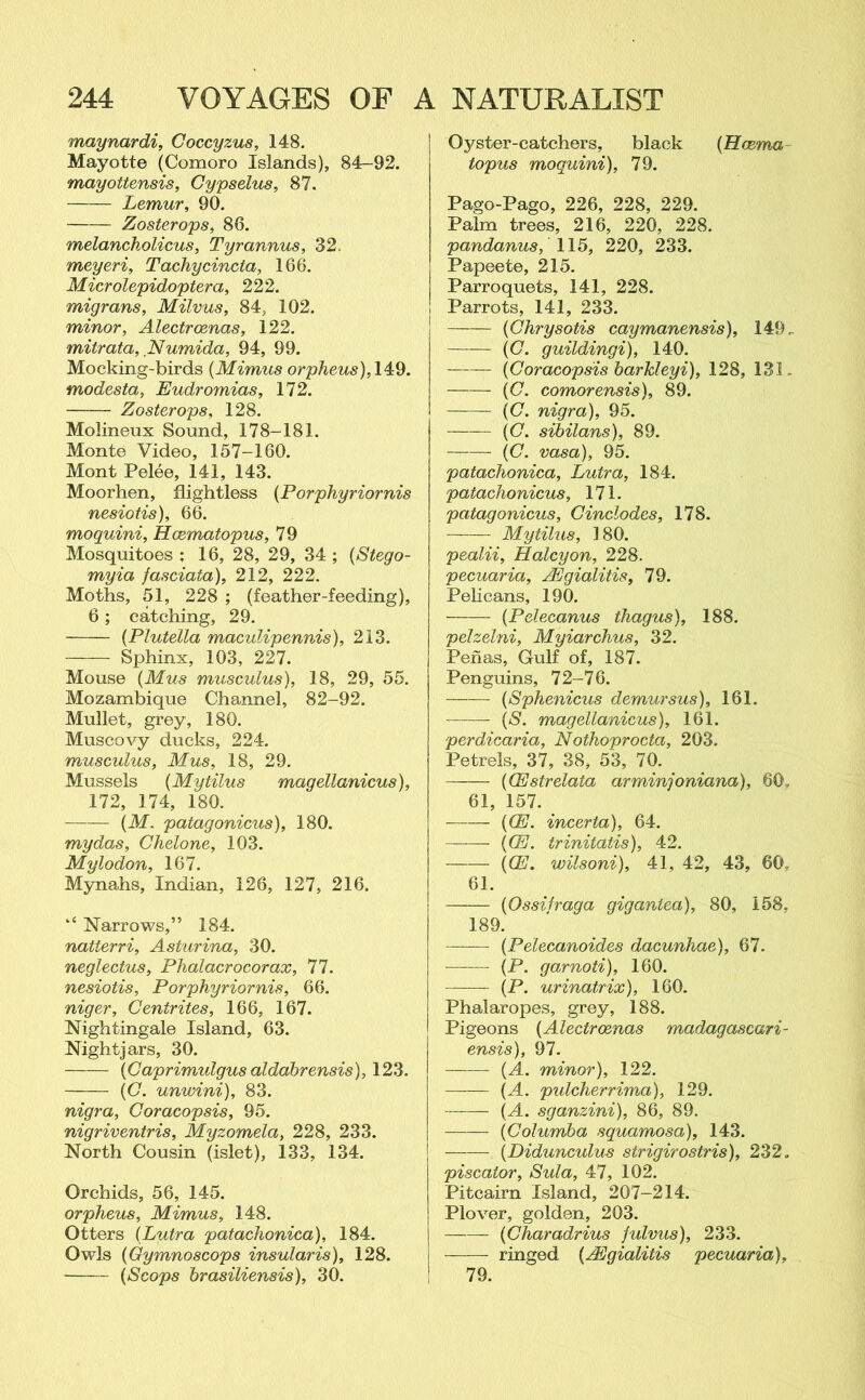 maynardi, Goccyzus, 148. Mayotte (Comoro Islands), 84-92. mayottensis, Cypselus, 87. Lemur, 90. Zoster ops, 86. melancholicus, Tyrannus, 32. meyeri, Tachycincta, 166. Microlepidoptera, 222. migrans, Milvus, 84, 102. minor, Alectroenas, 122. mitrata, Numida, 94, 99. Mocking-birds (Mimus orpheus), 149. modesta, Eudromias, 172. Zosterops, 128. Molineux Sound, 178-181. Monte Video, 157-160. Mont Pelee, 141, 143. Moorhen, flightless (Porphyriornis nesiotis), 66. moquini, Hcematopus, 79 Mosquitoes ; 16, 28, 29, 34 ; (Stego- myia fasciata), 212, 222. Moths, 51, 228 ; (feather-feeding), 6; catching, 29. (Plutella maculipennis), 213. Sphinx, 103, 227. Mouse (Mus musculus), 18, 29, 55. Mozambique Channel, 82-92. Mullet, grey, 180. Muscovy ducks, 224. musculus, Mus, 18, 29. Mussels (Mytilus magellanicus), 172, 174, 180. (M. patagonicus), 180. my das, Chelone, 103. Mylodon, 167. Mynahs, Indian, 126, 127, 216. ‘c Narrows,” 184. natterri, Asturina, 30. neglectus, Phalacrocorax, 77. nesiotis, Porphyriornis, 66. niger, Centrites, 166, 167. Nightingale Island, 63. Nightjars, 30. (Caprimidgus aldabrensis), 123. (C. unwini), 83. nigra, Coracopsis, 95. nigriventris, Myzomela, 228, 233. North Cousin (islet), 133, 134. Orchids, 56, 145. orpheus, Mimus, 148. Otters (Lutra patachonica), 184. Owls (Gymnoscops insularis), 128. (Scops hrasiliensis), 30. Oyster-catchers, black (Hcema topus moquini), 79. Pago-Pago, 226, 228, 229. Palm trees, 216, 220, 228. pandanus, 115, 220, 233. Papeete, 215. Parroquets, 141, 228. Parrots, 141, 233. (Chrysotis caymanensis), 149. (C. guildingi), 140. (Coracopsis barJcleyi), 128, 131. —— (C. comorensis), 89. (C. nigra), 95. (C. sibilans), 89. (C. vasa), 95. patachonica, Lutra, 184. patachonicus, 171. patagonicus, Cinclodes, 178. Mytilus, 180. pealii. Halcyon, 228. pecuaria, JEgialitis, 79. Pelicans, 190. (Pelecanus thagus), 188. pelzelni, Myiarchus, 32. Penas, Gulf of, 187. Penguins, 72-76. (Sphenicus demursus), 161. (S. magellanicus), 161. perdicaria, Nothoprocta, 203. Petrels, 37, 38, 53, 70. ((Estrelata arminjoniana), 60, 61, 157. (CEJ. incerta), 64. ——- ((E. trinitatis), 42. ((E. wilsoni), 41, 42, 43, 60. 61. (Ossifraga gigantea), 80, 158, 189. (Pelecanoides dacunhae), 67. ——- (P. garnoti), 160. (P. urinatrix), 160. Phalaropes, grey, 188. Pigeons (Alectroenas madagascari- ensis), 97. (A. minor), 122. (A. pulcherrima), 129. ——- (A. sganzini), 86, 89. (Columba squamosa), 143. (Didunculus strigirostris), 232. piscator, Sula, 47, 102. Pitcairn Island, 207-214. Plover, golden, 203. —— (Charadrius fulvus), 233. ringed (Mgialitis pecuaria), 79.