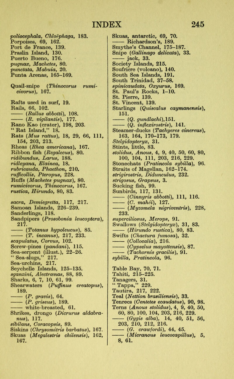 poliocephala, Chloephaga, 183. Porpoises, 69, 162. Port de France, 139. Praslin Island, 130. Puerto Bueno, 176. pugnax, Machetes, 80. punctata, Mabuia, 20. Punta Arenas, 165-169. Quail-snipe (Thinocorus rumi- civorus), 167. Rafts used in surf, 19. Rails, 66, 102. (Rallus abbotti), 108. (R. vigilantis), 177. Rano Kao (crater), 198, 203. “ Rat Island,” 18. Rats (Mus rattus), 18, 29, 66, 111, 154, 203, 213. Rheas (Rhea americana), 167. Ribbon fish (Regalecus), 80. ridibundus, Larus, 188. ridleyana, Elainea, 18. rubricauda, Phaethon, 210. rufficollis, Pteropus, 228. Ruffs (Machetes pugnax), 80. rumicivorus, Thinocorus, 167. rustica, Hirundo, 80, 83. sacra, Demiegretta, 117, 217. Samoan Islands, 226-239. Sanderlings, 118. Sandpipers (Prosobonia leucoptera), 217. (Totanus hypoleucus), 85. (T. incanus), 217, 233. scapulatus, Corvus, 102. Screw-pines (pandani), 115. Sea-serpent (illust.), 22-26. “ Sea-slugs,” 217. Sea-urchins, 217. Seychelle Islands, 125-135. sganzini, Alectrcenas, 88, 89. Sharks, 6, 7, 10, 61, 99. Shearwaters {Puffinus creatopus), 189. (P. gravis), 64. (P. griseus), 189. white-breasted, 61. Shrikes, drongo {Dicrurus aldabra- nus), 117. sibilans, Coracopsis, 89. Siskins (Chrysomitris barbatus), 167. Skuas (Megaleatris chilensis), 162, 167. Skuas, antarctic, 69, 70. Richardson’s, 189. Smythe’s Channel, 175-187. Snipe (Gdllinago delicata), 33. jack, 33. Society Islands, 215. Soufriere (volcano), 140. South Sea Islands, 191. South Trinidad, 37-58. spinicaudata, Oxyurus, 169. St. Paul’s Rocks, 1-10. St. Pierre, 139. St. Vincent, 139. Starlings (Quiscalus caymanemis), 151. (Q. gundlachi), 151. (Q. inflexirostris), 141. Steamer-ducks (Tachyeres cinereus), 163, 164, 170-173, 179. Stelgidopteryx, 31. Stints, little, 83. stolidus, Anous, 4, 9, 40, 50, 60, 80, 100, 104, 111, 203, 216, 229. Stonechats (Pratincola sybilla), 96. Straits of Magellan, 162-174. strigirostris, Didunculus, 232. strigosus, Grapsus, 3. Sucking fish, 99. Sunbirds, 117, 131. (Ginnyris abbotti). 111, 116. \C. mahei), 127. (Myzomela nigriventris), 228, 233. superciliosus, Merops, 91. Swallows (Stelgidopteryx), 31, 83. (Hirundo rustica), 80, 83. Swifts (Chaetura fumosa), 32. (Collocalia), 216. (Cypselus mayottensis), 87. (Tachornis gracilis), 91. sybilla, Pratincola, 96. Table Bay, 70, 71. Tahiti, 215-225. Tanagers, 31. “ Tappa,” 229. Tautira, 217, 222. Teal (Nettion brasiliensis), 33. Tenrecs (Gentetes ecaudatus), 90, 98. Terns (Anous stolidus), 4, 9, 40, 50, 60, 80, 100, 104, 203, 216, 229. (Gygis alba), 14, 40, 51, 56, 203, 210, 212, 216. (G. crawfordi), 44, 45. (Micranous leucocapillus), 5, 8, 61.
