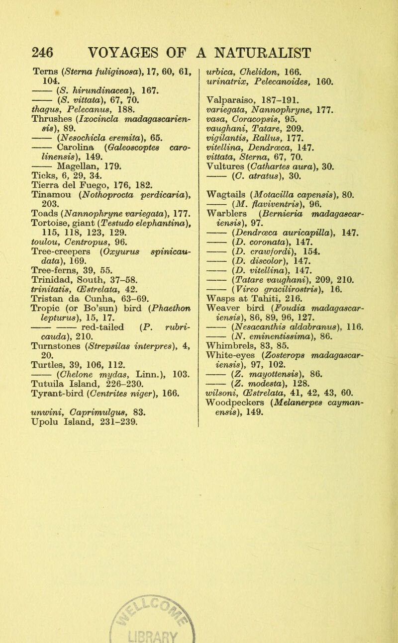 Terns {Sterna fuliginosa), 17, 60, 61, 104. (S. hirundinacea), 167. (S. vittata), 67, 70. thagus, Pelecanus, 188. Thrushes (Ixocincla madagascarien- 818), 89. {Nesochicla eremita), 65. Carolina {Galeoscoptes caro- linensis), 149. Magellan, 179. Ticks, 6, 29, 34. Tierra del Fuego, 176, 182. Tinamou {Nothoprocta perdicaria), 203. Toads {Nannophryne variegata), 177. Tortoise, giant (Testudo elephantina), 115, 118, 123, 129. toulou, Centropies, 96. Tree-creepers {Oxyurus spinicau- data), 169. Tree-ferns, 39, 55. Trinidad, South, 37-58. trinitatis, (Estrelata, 42. Tristan da Cunha, 63-69. Tropic (or Bo’sun) bird {Phaethon lepturus), 15, 17. red-tailed (P. rubri- cauda), 210. Turnstones (Strepsilas interpres), 4, 20. Turtles, 39, 106, 112. {Chelone mydas, Linn.), 103. Tutuila Island, 226-230. Tyrant-bird {Centrites niger), 166. urbica, Ghelidon, 166. urinatrix, Pelecanoides, 160. Valparaiso, 187-191. variegata, Nannophryne, 177. vasa, Goracopsis, 95. vaughani, Tatare, 209. vigilantis, Ralhis, 177. vitellina, Dendrceca, 147. vittata. Sterna, 67, 70. Vultures {Gathartes aura), 30. {G. atratus), 30. Wagtails (Motacilla capensis), 80. (M. flaviventris), 96. Warblers (Bernieria madagascar- iensis), 97. {Dendrceca auricapilla), 147. {D. coronata), 147. {D. crawfordi), 154. {D. discolor), 147. {D. vitellina), 147. {Tatare vaughani), 209, 210. (Vireo gracilirostris), 16. Wasps at Tahiti, 216. Weaver bird {Foudia madagascar- iensis), 86, 89, 96, 127. {Nesacanthis alddbranus), 116. (N. eminentis8ima), 86. Whimbrels, 83, 85. White-eyes {Zosterops madagascar- iensis), 97, 102. {Z. mayottensis), 86. {Z. modesta), 128. wilsoni, (Estrelata, 41, 42, 43, 60. Woodpeckers {Melanerpes cayman- unwini, Gaprimulgus, 83. Upolu Island, 231-239.