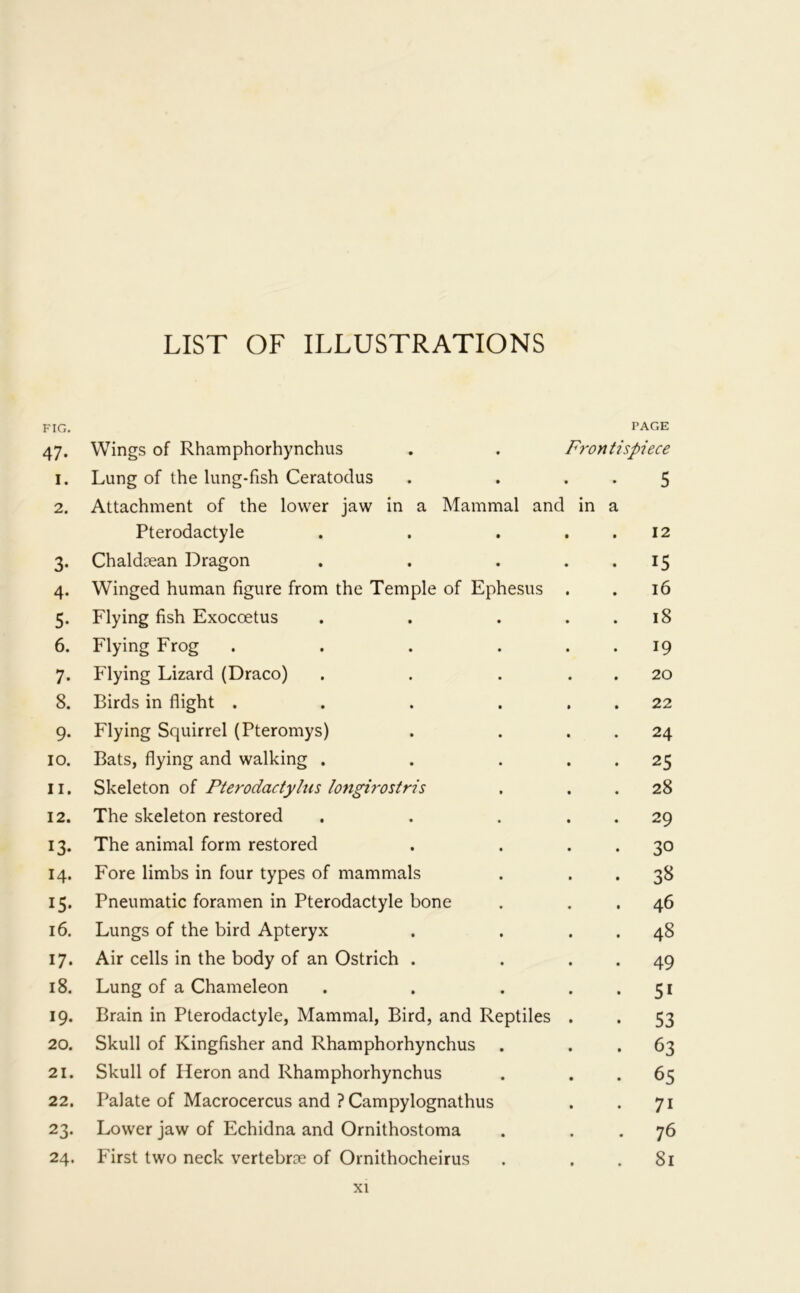 FIG. 47- Wings of Rhamphorhynchus PAGE Frontispiece I. Lung of the lung-fish Ceratodus • • 5 2. Attachment of the lower jaw in a Mammal and in a Pterodactyle 12 3- Chaldaean Dragon 15 4- Winged human figure from the Temple of Ephesus 16 5- Flying fish Exocoetus 18 6. Flying Frog .... 19 7. Flying Lizard (Draco) 20 8. Birds in flight .... 22 9* Flying Squirrel (Pteromys) 24 10. Bats, flying and walking . 25 11. Skeleton of Pterodactylus longirostris 28 12. The skeleton restored 29 13- The animal form restored 30 14. Fore limbs in four types of mammals 38 Pneumatic foramen in Pterodactyle bone 46 16. Lungs of the bird Apteryx 48 17. Air cells in the body of an Ostrich . 49 18. Lung of a Chameleon 5i 19- Brain in Pterodactyle, Mammal, Bird, and Reptiles 53 20. Skull of Kingfisher and Rhamphorhynchus 63 21. Skull of Heron and Rhamphorhynchus 65 22. Palate of Macrocercus and ? Campylognathus 7i 23- Lower jaw of Echidna and Ornithostoma 76 24. First two neck vertebrae of Ornithocheirus • • 81