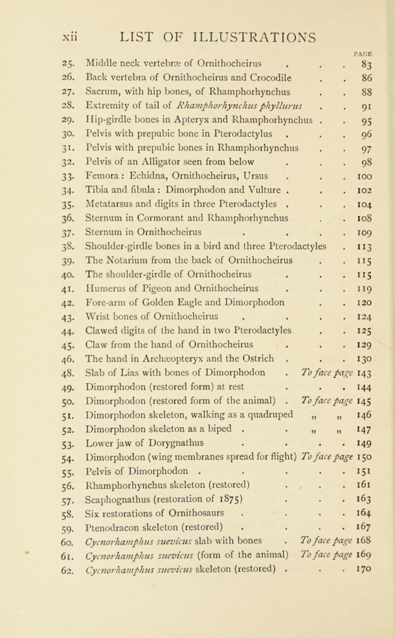 25. 26. 27. 28. 29. 30- Si- 32. 33- 34. 35- 36. 37- 38. 39- 40. 41. 42. 43- 44. 45- 46. 48. 49. 50- 51- 52- 53- 54- 55- 56. 57- 58. 59- 60. 61. 62. PAGE Middle neck vertebrae of Ornithocheirus . . . 83 Back vertebra of Ornithocheirus and Crocodile . . 86 Sacrum, with hip bones, of Rhamphorhynchus . . 88 Extremity of tail of Rhamphorhynchus phyllurus . . 91 I lip-girdle bones in Apteryx and Rhamphorhynchus . . 95 Pelvis with prepubic bone in Pterodactylus . . . 96 Pelvis with prepubic bones in Rhamphorhynchus . . 97 Pelvis of an Alligator seen from below . . . 98 Femora: Echidna, Ornithocheirus, Ursus . . . 100 Tibia and fibula : Dimorphodon and Vulture . . . 102 Metatarsus and digits in three Pterodactyles . . .104 Sternum in Cormorant and Rhamphorhynchus . . 10S Sternum in Ornithocheirus . ... 109 Shoulder-girdle bones in a bird and three Pterodactyles . 113 The Notarium from the back of Ornithocheirus . . 115 The shoulder-girdle of Ornithocheirus . . .115 Ilumerus of Pigeon and Ornithocheirus . . .119 Fore-arm of Golden Eagle and Dimorphodon . .120 Wrist bones of Ornithocheirus . . . . 124 Clawed digits of the hand in two Pterodactyles . .125 Claw from the hand of Ornithocheirus . . .129 The hand in Archceopteryx and the Ostrich . . .130 Slab of Lias with bones of Dimorphodon . To face page 143 Dimorphodon (restored form) at rest . . .144 Dimorphodon (restored form of the animal) . To face page 145 Dimorphodon skeleton, walking as a quadruped „ „ 146 Dimorphodon skeleton as a biped . . „ „ 147 Lower jaw of Dorygnathus . . . . 149 Dimorphodon (wing membranes spread for flight) To face page 150 Pelvis of Dimorphodon . . . . . 151 Rhamphorhynchus skeleton (restored) . . .161 Scaphognathus (restoration of 1875) • * >163 Six restorations of Ornithosaurs . . . .164 Ptenodracon skeleton (restored) . . . . 167 Cycnorhamph ns suevicus slab with bones . To face page 168 Cycnorhamphus suevicus (form of the animal) To face page 169 Cycnorhamphus suevicus skeleton (restored) . . .170