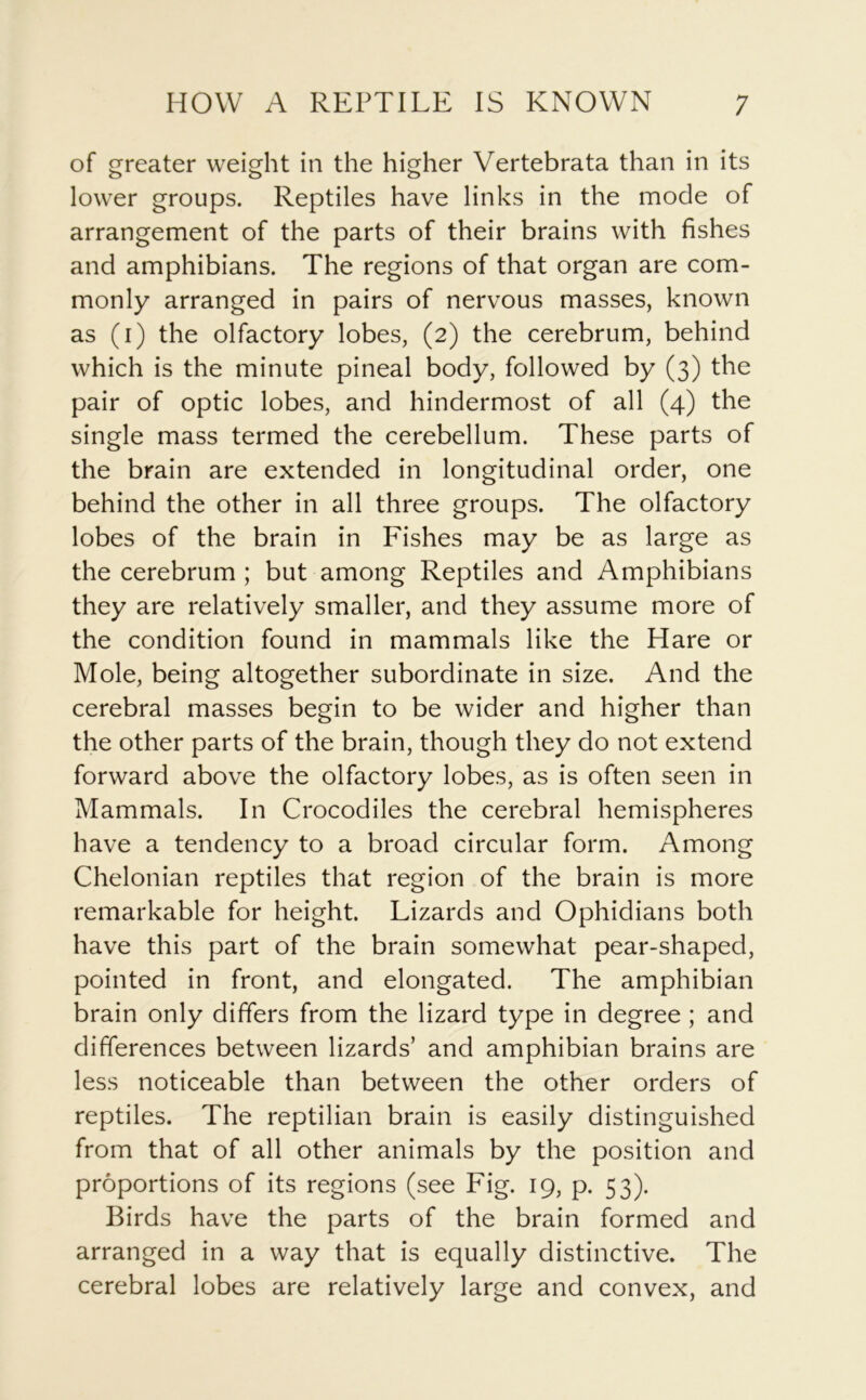 of greater weight in the higher Vertebrata than in its lower groups. Reptiles have links in the mode of arrangement of the parts of their brains with fishes and amphibians. The regions of that organ are com- monly arranged in pairs of nervous masses, known as (i) the olfactory lobes, (2) the cerebrum, behind which is the minute pineal body, followed by (3) the pair of optic lobes, and hindermost of all (4) the single mass termed the cerebellum. These parts of the brain are extended in longitudinal order, one behind the other in all three groups. The olfactory lobes of the brain in Fishes may be as large as the cerebrum ; but among Reptiles and Amphibians they are relatively smaller, and they assume more of the condition found in mammals like the Hare or Mole, being altogether subordinate in size. And the cerebral masses begin to be wider and higher than the other parts of the brain, though they do not extend forward above the olfactory lobes, as is often seen in Mammals. In Crocodiles the cerebral hemispheres have a tendency to a broad circular form. Among Chelonian reptiles that region of the brain is more remarkable for height. Lizards and Ophidians both have this part of the brain somewhat pear-shaped, pointed in front, and elongated. The amphibian brain only differs from the lizard type in degree ; and differences between lizards’ and amphibian brains are less noticeable than between the other orders of reptiles. The reptilian brain is easily distinguished from that of all other animals by the position and proportions of its regions (see Fig. 19, p. 53). Birds have the parts of the brain formed and arranged in a way that is equally distinctive. The cerebral lobes are relatively large and convex, and
