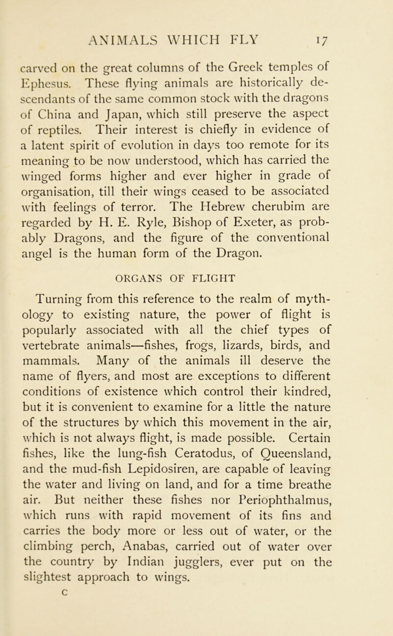 carved on the great columns of the Greek temples of Ephesus. These flying animals are historically de- scendants of the same common stock with the dragons of China and Japan, which still preserve the aspect of reptiles. Their interest is chiefly in evidence of a latent spirit of evolution in days too remote for its meaning to be now understood, which has carried the winged forms higher and ever higher in grade of organisation, till their wings ceased to be associated with feelings of terror. The Hebrew cherubim are regarded by H. E. Ryle, Bishop of Exeter, as prob- ably Dragons, and the figure of the conventional angel is the human form of the Dragon. ORGANS OF FLIGHT Turning from this reference to the realm of myth- ology to existing nature, the power of flight is popularly associated with all the chief types of vertebrate animals—fishes, frogs, lizards, birds, and mammals. Many of the animals ill deserve the name of flyers, and most are exceptions to different conditions of existence which control their kindred, but it is convenient to examine for a little the nature of the structures by which this movement in the air, which is not always flight, is made possible. Certain fishes, like the lung-fish Ceratodus, of Queensland, and the mud-fish Lepidosiren, are capable of leaving the water and living on land, and for a time breathe air. But neither these fishes nor Periophthalmus, which runs with rapid movement of its fins and carries the body more or less out of water, or the climbing perch, Anabas, carried out of water over the country by Indian jugglers, ever put on the slightest approach to wings, c