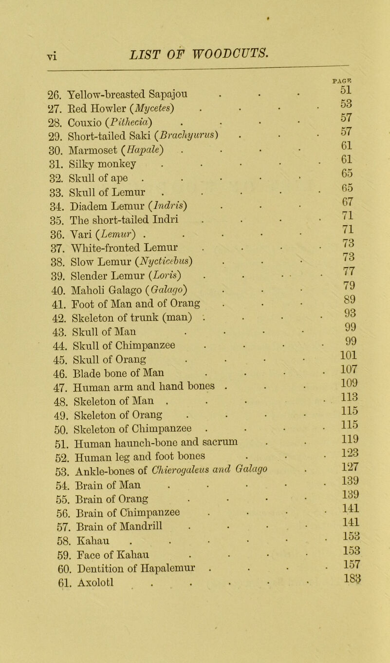 VI PAGR 26. Yellow-breasted Sapajou . . • 27. Eed Howler (Mycetes) . • • . 5o 28. Coiixio {Pithecia) . . • • 29. Short-tailed Saki {Brachyurus) . . .57 30. Marmoset {llapale) . . • • 31. Silky monkey . • • • ’ 32. Skull of ape . . ■ • > 33. Skull of Lemur . . • • .65 34. Diadem Lemur (Indris) . . • 57 35. The short-tailed Indri . . • ' 36. Vari {Lemur) . . • • • 37. White-fronted Lemur . . • .73 38. Slow Lemur (Nycticebus) ... 73 39. Slender Lemur (Loris) . . • • .77 40. Maholi Galago (Galago) . . • ^ ^ 41. Loot of Man and of Orang . . • 89 42. Skeleton of trunk (man) •. . • .93 43. Skull of Man . • • • ^9 44. Skull of Chimpanzee . . • .99 45. Skull of Orang . . • • 151 46. Blade bone of Man . . • • 157 47. Human arm and hand bones . . . 159 48. Skeleton of Man ... • H8 49. Skeleton of Orang . . • • 50. Skeleton of Chimpanzee . . • .115 51. Human haunch-bone and sacrum . . H5 52. Human leg and foot bones . • .123 53. Ankle-bones of Chierogaleus and Galago . 127 54. Brain of Man . . • • .139 55. Brain of Orang . • • • 1^5 56. Brain of Chimpanzee . • • • 1^1 57. Brain of Mandrill . . . • H^l 58. Kahau . . • • • * 59. Face of Kahau . • • • 1^8 60. Dentition of Hapalemur . . • .157 61. Axolotl . . • • • 183