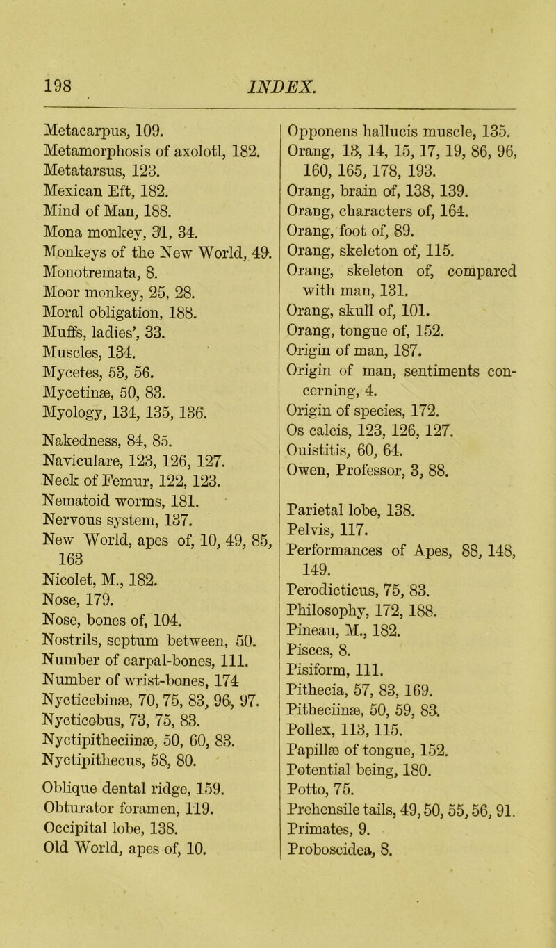 Metacarpus, 109. Metamorphosis of axolotl, 182. Metatarsus, 123. Mexican Eft, 182. Mind of Man, 188. Mona monkey, 31, 34:. Monkeys of the New World, 40. Monotremata, 8. Moor monkey, 25, 28. Moral obligation, 188. Muffs, ladies’, 33. Muscles, 134. Mycetes, 53, 56. Mycetinse, 50, 83. Myology, 134, 135, 136. Nakedness, 84, 85. Naviculare, 123, 126, 127. Neck of Femur, 122, 123. Nematoid worms, 181. Nervous system, 137. New World, apes of, 10, 49, 85, 163 Nicolet, M., 182. Nose, 179. Nose, bones of, 104. Nostrils, septum between, 50. Number of carpal-bones, 111. Number of wrist-bones, 174 Nycticebinje, 70, 75, 83, 96, 97. Nycticebus, 73, 75, 83. Nyctipitheciiuse, 50, 60, 83. Nyctipithecus, 58, 80. Oblique dental ridge, 159. Obturator foramen, 119. Occipital lobe, 138. Old World, apes of, 10. Opponens hallucis muscle, 135. Orang, 13,14, 15, 17,19, 86, 96, 160, 165, 178, 193. Orang, brain of, 138, 139. Orang, characters of, 164. Orang, foot of, 89. Orang, skeleton of, 115. Orang, skeleton of, compared with man, 131. Orang, skull of, 101. Orang, tongue of, 152. Origin of man, 187. Origin of man, sentiments con- cerning, 4. Origin of species, 172. Os calcis, 123, 126, 127. Ouistitis, 60, 64. Owen, Professor, 3, 88. Parietal lobe, 138. Pelvis, 117. Performances of Apes, 88, 148, 149. Perodicticus, 75, 83. Philosophy, 172, 188. Pineau, M., 182. Pisces, 8. Pisiform, 111. Pithecia, 57, 83, 169. Pitheciinae, 50, 59, 83. Pollex, 113,115. Papillae of tongue, 152. Potential being, 180. Potto, 75. Prehensile tails, 49,50,55,56, 91. Primates, 9. Proboscidea, 8.