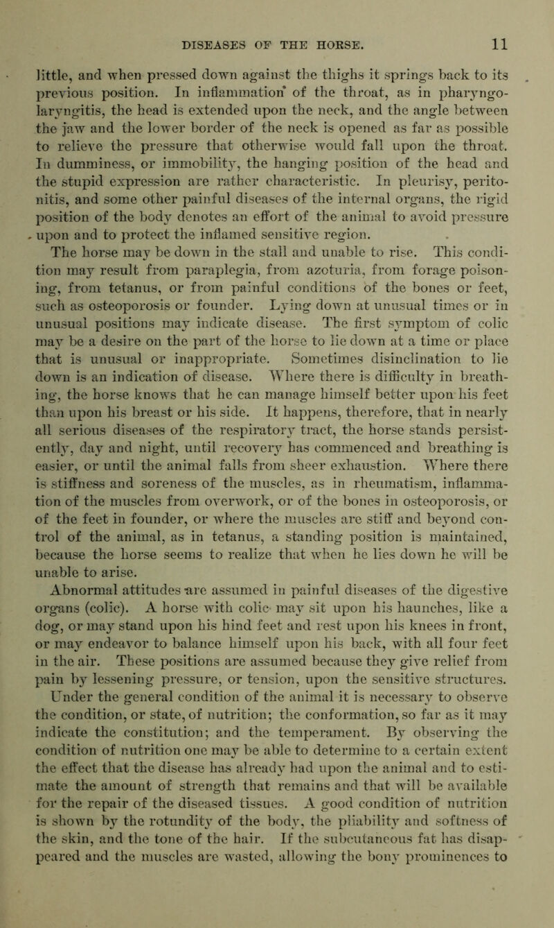 little, and when pressed down against the thighs it springs hack to its previous position. In inflammation of the throat, as in phaiyngo- laryngitis, the head is extended upon the neck, and the angle between the jaw and the lower border of the neck is opened as far as possible to relieve the pressure that otherwise would fall upon the throat. In dumminess, or immobility, the hanging position of the head and the stupid expression are rather characteristic. In pleurisy, perito- nitis, and some other painful diseases of the internal organs, the rigid position of the body denotes an effort of the animal to avoid pressure . upon and to protect the inflamed sensitive region. The horse may be down in the stall and unable to rise. This condi- tion may result from paraplegia, from azoturia, from forage poison- ing, from tetanus, or from painful conditions of the bones or feet, such as osteoporosis or founder. Lying down at unusual times or in unusual positions may indicate disease. The first symptom of colic may be a desire on the part of the horse to lie down at a time or place that is unusual or inappropriate. Sometimes disinclination to lie down is an indication of disease. Where there is difficulty in breath- ing, the horse knows that he can manage himself better upon his feet than upon his breast or his side. It happens, therefore, that in nearly all serious diseases of the respiratory tract, the horse stands persist- ently, day and night, until recovery has commenced and breathing is easier, or until the animal falls from sheer exhaustion. Where there is stiffness and soreness of the muscles, as in rheumatism, inflamma- tion of the muscles from overwork, or of the bones in osteoporosis, or of the feet in founder, or where the muscles are stiff and beyond con- trol of the animal, as in tetanus, a standing position is maintained, because the horse seems to realize that when he lies down he will be unable to arise. Abnormal attitudes *are assumed in painful diseases of the digestive organs (colic). A horse with colic* may sit upon his haunches, like a dog, or may stand upon his hind feet and rest upon his knees in front, or may endeavor to balance himself upon his back, with all four feet in the air. These positions are assumed because they give relief from pain by lessening pressure, or tension, upon the sensitive structures. Under the general condition of the animal it is necessary to observe the condition, or state, of nutrition; the conformation, so far as it may indicate the constitution; and the temperament. By observing the condition of nutrition one may be able to determine to a certain extent the effect that the disease has already had upon the animal and to esti- mate the amount of strength that remains and that will be available for the repair of the diseased tissues. A good condition of nutrition is shown by the rotundity of the body, the pliability and softness of the skin, and the tone of the hair. If the subcutaneous fat has disap- peared and the muscles are wasted, allowing the bony prominences to