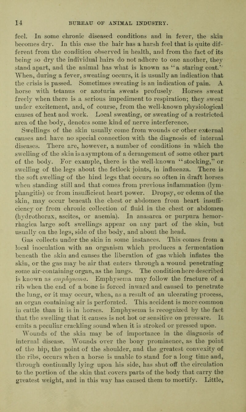 feci. In some chronic diseased conditions and in fever, the skin becomes dry. In this case the hair has a harsh feel that is quite dif- ferent from the condition observed in health, and from the fact of its being so dry the individual hairs do not adhere to one another, they stand apart, and the animal has what is known as ua staring coat.’' When, during a fever, sweating occurs, it is usually an indication that the crisis is passed. Sometimes sweating is an indication of pain. A horse with tetanus or azoturia sweats profusely Horses sweat freely when there is a serious impediment to respiration; they sweat under excitement, and, of course, from the well-known physiological causes of heat and work. Local sweating, or sweating of a restricted area of the body, denotes some kind of nerve interference. Swellings of the skin usually come from wounds or other external causes and have no special connection with the diagnosis of internal diseases. There are, however, a number of conditions in which the swelling of the skin is a symptom of a derangement of some other part of the body. For example, there is the well-known 66 stocking,” or swelling of the legs about the fetlock joints, in influenza. There is the soft swelling of the hind legs that occurs so often in draft horses when standing still and that comes from previous inflammation (lym- phangitis) or from insufficient heart power. Dropsy, or edema of the skin, may occur beneath the chest or abdomen from heart insuffi- ciency or from chronic collection of fluid in the chest or abdomen (h}rdrothorax, ascites, or anemia). In anasarca or purpura hemor- rhagica large soft swellings appear on any part of the skin, but usually on the legs, side of the body, and about the head. Gas collects under the skin in some instances. This comes from a local inoculation with an organism which produces a fermentation beneath the skin and causes the liberation of gas which inflates the skin, or the gas may be air that enters through a wound penetrating some air-containing organ, as the lungs. The condition here described is known as emphysema. Emphysema may follow the fracture of a rib when the end of a bone is forced inward and caused to penetrate the lung, or it may occur, when, as a result of an ulcerating process, an organ containing air is perforated. This accident is more common in cattle than it is in horses. Emphysema is recognized by the fact that the swelling that it causes is not hot or sensitive on pressure. It emits a peculiar crackling sound when it is stroked or pressed upon. Wounds of the skin may be of importance in the diagnosis of internal disease. Wounds over the bony prominence, as the point of the hip, the point of the shoulder, and the greatest convexity of the ribs, occurs when a horse is unable to stand for a long time and, through continually lying upon his side, has shut off the circulation to the portion of the skin that covers parts of the bod}7 that carry the greatest weight, and in this way has caused them to mortify. Little,