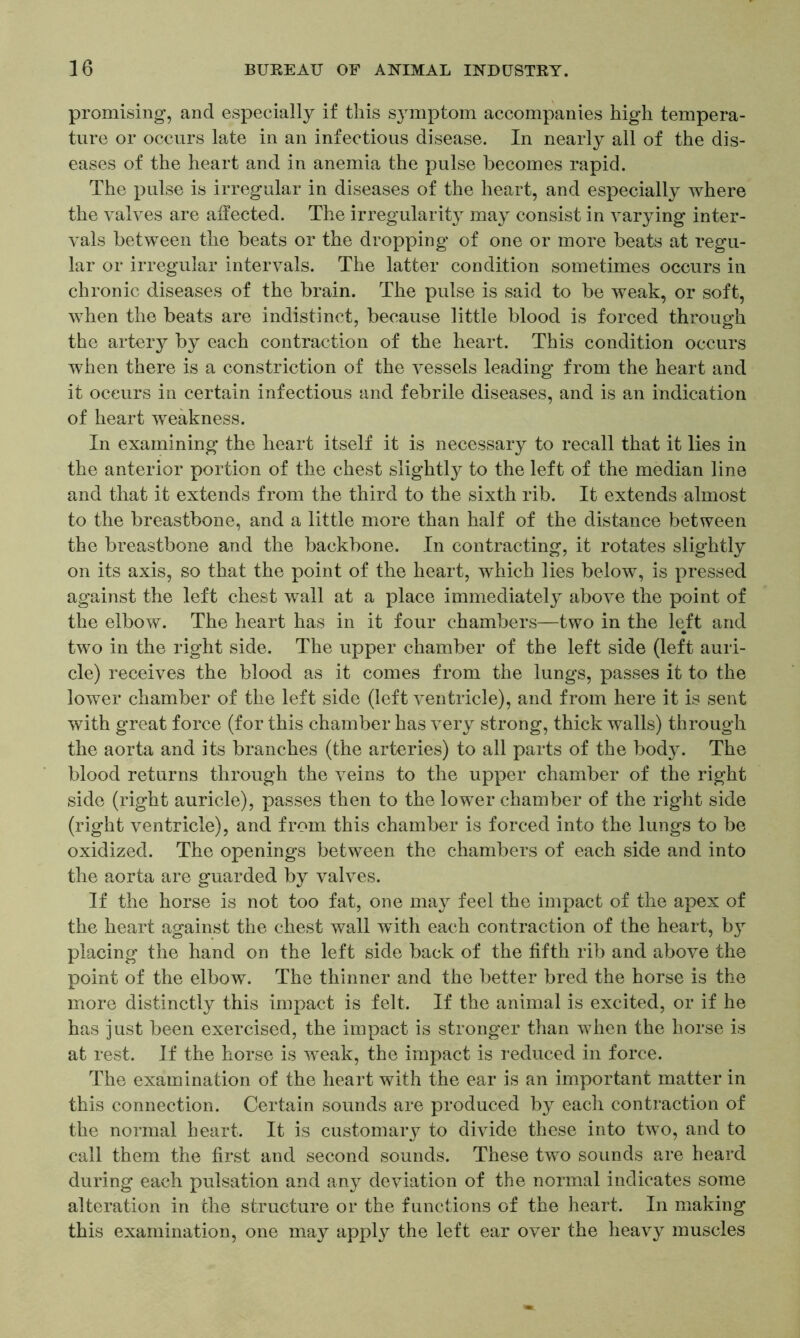 promising, and especially if this symptom accompanies high tempera- ture or occurs late in an infectious disease. In nearly all of the dis- eases of the heart and in anemia the pulse becomes rapid. The pulse is irregular in diseases of the heart, and especially where the valves are affected. The irregularity may consist in varying inter- vals between the beats or the dropping of one or more beats at regu- lar or irregular intervals. The latter condition sometimes occurs in chronic diseases of the brain. The pulse is said to be weak, or soft, when the beats are indistinct, because little blood is forced through the artery by each contraction of the heart. This condition occurs when there is a constriction of the vessels leading from the heart and it occurs in certain infectious and febrile diseases, and is an indication of heart weakness. In examining the heart itself it is necessary to recall that it lies in the anterior portion of the chest slightly to the left of the median line and that it extends from the third to the sixth rib. It extends almost to the breastbone, and a little more than half of the distance between the breastbone and the backbone. In contracting, it rotates slightly on its axis, so that the point of the heart, which lies below, is pressed against the left chest wall at a place immediately above the point of the elbow. The heart has in it four chambers—two in the left and two in the right side. The upper chamber of the left side (left auri- cle) receives the blood as it comes from the lungs, passes it to the lower chamber of the left side (left ventricle), and from here it is sent with great force (for this chamber has very strong, thick walls) through the aorta and its branches (the arteries) to all parts of the body. The blood returns through the veins to the upper chamber of the right side (right auricle), passes then to the lower chamber of the right side (right ventricle), and from this chamber is forced into the lungs to be oxidized. The openings between the chambers of each side and into the aorta are guarded by valves. If the horse is not too fat, one may feel the impact of the apex of the heart against the chest wall with each contraction of the heart, b}r placing the hand on the left side back of the fifth rib and above the point of the elbow. The thinner and the better bred the horse is the more distinctly this impact is felt. If the animal is excited, or if he has just been exercised, the impact is stronger than when the horse is at rest. If the horse is weak, the impact is reduced in force. The examination of the heart with the ear is an important matter in this connection. Certain sounds are produced by each contraction of the normal heart. It is customary to divide these into two, and to call them the first and second sounds. These two sounds are heard during each pulsation and any deviation of the normal indicates some alteration in the structure or the functions of the heart. In making this examination, one may apply the left ear over the heavy muscles