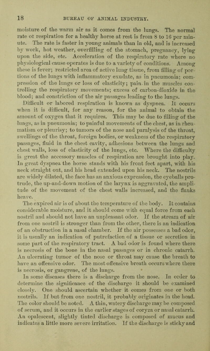 moisture of the warm air as it comes from the lungs. The normal rate o± respiration for a healthy horse at rest is from 8 to 16 per min- ute. The rate is faster in young animals than in old, and is increased by work, hot weather, overfilling of the stomach, pregnancy, lying upon the side, etc. Acceleration of the respiratory rate where no physiological cause operates is due to a variety of conditions. Among these is fever; restricted area of active lang tissue, from filling of por- tions of the lungs with inflammatory exudate, as in pneumonia; com- pression of the lungs or loss of elasticity; pain.in the muscles con- trolling the respiratory movements; excess of carbon-dioxide in the blood; and constriction of the air passages leading to the lungs. Difficult or labored respiration is known as dyspnea. It occurs when it is difficult, for any reason, for the animal to obtain the amount of oxygen that it requires. This may be due to filling of the lungs, as in pneumonia; to painful movements of the chest, as in rheu matism or pleurisy; to tumors of the nose and paralysis of the throat, swellings of the throat, foreign bodies, or weakness of the respiratory passages, fluid in the chest cavity, adhesions between the lungs and chest walls, loss of elasticity of the lungs, etc. Where the difficulty is great the accessory muscles of respiration are brought into play. In great dyspnea the horse stands with his front feet apart, with his neck straight out, and his head extended upon his neck. The nostrils are widely dilated, the face has an anxious expression, the eyeballs pro- trude, the up-and-down motion of the larynx is aggravated, the ampli- tude of the movement of the chest walls increased, and the flanks heave. The expired air is of about the temperature of the body. It contains considerable moisture, and it should come with equal force from each nostril and should not have an unpleasant odor. If the stream of air from one nostril is stronger than from the other, there is an indication of an obstruction in a nasal chamber. If the air possesses a bad odor, it is usually an indication of putrefaction of a tissue or secretion in some part of the respiratory tract. A bad odor is found where there is necrosis of the bone in the nasal passages or in chronic catarrh. An ulcerating tqmor of the nose or throat may cause the breath to have an offensive odor. The most offensive breath occurs where there is necrosis, or gangrene, of the lungs. In some diseases there is a discharge from the nose. In order to determine the significance of the discharge it should be examined closety. One should ascertain whether it comes from one or both nostrils. If but from one nostril, it probably originates in the head. The color should be noted. A thin, watery discharge may be composed of serum, and it occurs in the earlier stages of coryza or nasal catarrh. An opalescent, slightly tinted discharge is composed of mucus and indicates a little more severe irritation. If the discharge is sticky and
