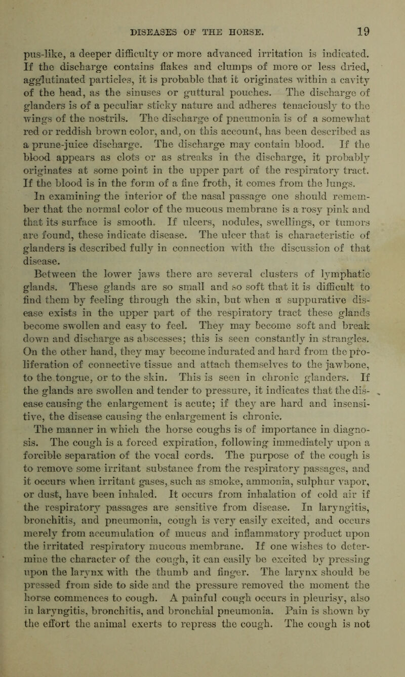 pus-like, a deeper difficulty or more advanced irritation is indicated. If the discharge contains flakes and clumps of more or less dried, agglutinated particles, it is probable that it originates within a cavity of the head, as the sinuses or guttural pouches. The discharge of glanders is of a peculiar sticky nature and adheres tenaciously to the wings of the nostrils. The discharge of pneumonia is of a somewhat red or reddish brown color, and, on this account, has been described as a prune-juice discharge. The discharge may contain blood. If the blood appears as clots or as streaks in the discharge, it probably originates at some point in the upper part of the respiratory tract. If the blood is in the form of a fine froth, it comes from the lungs. In examining the interior of the nasal passage one should remem- ber that the normal color of the mucous membrane is a rosy pink and that its surface is smooth. If ulcers, nodules, swellings, or tumors are found, these indicate disease. The ulcer that is characteristic of glanders is described fully in connection with the discussion of that disease. Between the lower jaws there are several clusters of lymphatic glands. These glands are so small and so soft that it is difficult to find them by feeling through the skin, but when a suppurative dis- ease exists in the upper part of the respiratory tract these glands become swollen and easy to feel. They may become soft and break down and discharge as abscesses; this is seen constantly in strangles. On the other hand, they may become indurated and hard from the pro- liferation of connective tissue and attach themselves to the jawbone, to the tongue, or to the skin. This is seen in chronic glanders. If the glands are swollen and tender to pressure, it indicates that the dis- ease causing the enlargement is acute; if they are hard and insensi- tive, the disease causing the enlargement is chronic. The manner in vrhich the horse coughs is of importance in diagno- sis. The cough is a forced expiration, following immediately upon a forcible separation of the vocal cords. The purpose of the cough is to remove some irritant substance from the respiratory passages, and it occurs when irritant gases, such as smoke, ammonia, sulphur vapor, or dust, have been inhaled. It occurs from inhalation of cold air if the respiratory passages are sensitive from disease. In laryngitis, bronchitis, and pneumonia, cough is very easily excited, and occurs merely from accumulation of mucus and inflammatory product upon the irritated respiratory mucous membrane. If one wishes to deter- mine the character of the cough, it can easily be excited by pressing upon the larynx with the thumb and finger. The larynx should be pressed from side to side and the pressure removed the moment the horse commences to cough. A painful cough occurs in pleurisy, also in laryngitis, bronchitis, and bronchial pneumonia. Pain is shown by the effort the animal exerts to repress the cough. The cough is not