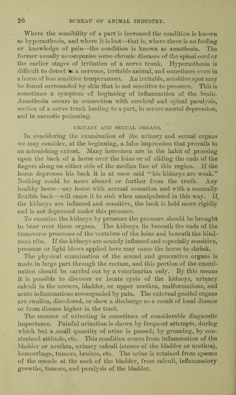 Where the sensibility of a part is increased the condition is known as Iwperasthesia, and where it is lost—that is, where there is no feeling or knowledge of pain—the condition is known as anasthesia. The former usually accompanies some chronic diseases of the spinal cord or the earlier stages of irritation of a nerve trunk. Hyperasthesia is difficult to detect ki a nervous, irritable animal, and sometimes even in a horse of less sensitive temperament. An irritable, sensitive spot may be found surrounded by skin that is not sensitive to pressure. This is sometimes a symptom of beginning of inflammation of the brain. Anasthesia occurs in connection with cerebral and spinal paralysis, section of a nerve trunk leading to a part, in severe mental depression, and in narcotic poisoning. URINARY AND SEXUAL ORGANS. In considering the examination of the urinary and sexual organs we may consider, at the beginning, a false impression that prevails to an astonishing extent. Many horsemen are in the habit of pressing upon the back of a horse over the loins or of sliding the ends of the fingers along on either side of the median line of this region. If the horse depresses his back it is at once said u his kidneys are weak.” Nothing could be more absurd or further from the truth. Any healthy horse—any horse with normal sensation and with a normally flexible back—will cause it to sink when manipulated in this way. Ift the kidneys are inflamed and sensitive, the back is held more rigidly and is not depressed under this pressure. To examine the kidneys by pressure the pressure should be brought to bear over these organs. The kidneys lie beneath the ends of the transverse processes of the vertebrae of the loins and beneath the hind- most ribs. If the kidneys are acutely inflamed and especially sensitive, pressure or light blows applied here may cause the horse to shrink. The physical examination of the sexual and generative organs is made in large part through the rectum, and this portion of the exami- nation should be carried out by a veterinarian only. By this means it is possible to discover or locate cysts of the kidneys, urinary calculi in the ureters, bladder, or upper urethra, malformations, and acute inflammations accompanied by pain. The external genital organs are swollen, discolored, or show a discharge as a result of local disease or from disease higher in the tract. The manner of urinating is sometimes of considerable diagnostic importance. Painful urination is shown by frequent attempts, during which but a small quantity of urine is passed; by groaning, by con- strained attitude, etc. This condition comes from inflammation of the bladder or urethra, urinary calculi (stones of the bladder or urethra), hemorrhage, tumors, bruises, etc. The urine is retained from spasms of the muscle at the neck of the bladder, from calculi, inflammatory growths, tumors, and paralysis of the bladder.