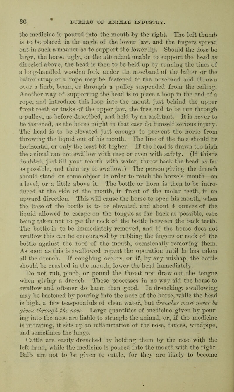 the medicine is poured into the mouth by the right. The left thumb is to be placed in the angle of the lower jaw, and the fingers spread out in such a manner as to support the lower lip. Should the dose be large, the horse ugly, or the attendant unable to support the head as directed above, the head is then to be held up by running the tines of a long-handled wooden fork under the noseband of the halter or the halter strap or a rope may be fastened to the noseband and thrown over a limb, beam, or through a pulley suspended from the ceiling. Another way of supporting the head is to place a loop in the end of a rope, and introduce this loop into the mouth just behind the upper front teeth or tusks of the upper jaw, the free end to be run through a pulley, as before described, and held by an assistant. It is never to be fastened, as the horse might in that case do himself serious injury . The head is to be elevated just enough to prevent the horse from throwing the liquid out of his mouth. The line of the face should be horizontal, or only the least bit higher. If the head is drawn too high the animal can not swallow with ease or even with safety. (If thisds doubted, just fill your mouth with water, throw back the head as far as possible, and then try to swallow.) The person giving the drench should stand on some object in order to reach the horse’s mouth—on a level, or a little above it. The bottle or horn is then to be intro- duced at the side of the mouth, in front of the molar teeth, in an upward direction. This will cause the horse to open his mouth, when the base of the bottle is to be elevated, and about 4 ounces of the liquid allowed to escape on the tongue as far back as possible, care being taken not to get the neck of the bottle between the back teeth. The bottle is to be immediately removed, and if the horse does not swallow this can be encouraged by rubbing the fingers or neck of the bottle against the roof of the mouth, occasionally removing them. As soon as this is swallowed repeat the operation until he has taken all the drench. If coughing occurs, or if, by any mishap, the bottle should be crushed in the mouth, lower the head immediately. Do not rub, pinch, or pound the throat nor draw out the tongue when giving a drench. These processes in no way aid the horse to swallow and oftener do harm than good. In drenching, swallowing may be hastened by pouring into the nose of the horse, while the head is high, a few teaspoonfuls of clean water, but drenches must never he given through the nose. Large quantities of medicine given by pour- ing into the nose are liable to strangle the animal, or, if the medicine is irritating, it sets up an inflammation of the nose, fauces, windpipe, and sometimes the lungs. Cattle are easily drenched by holding them by the nose with the left hand, while the medicine is poured into the mouth with the right. Balls are not to be given to cattle, for they are likely to become