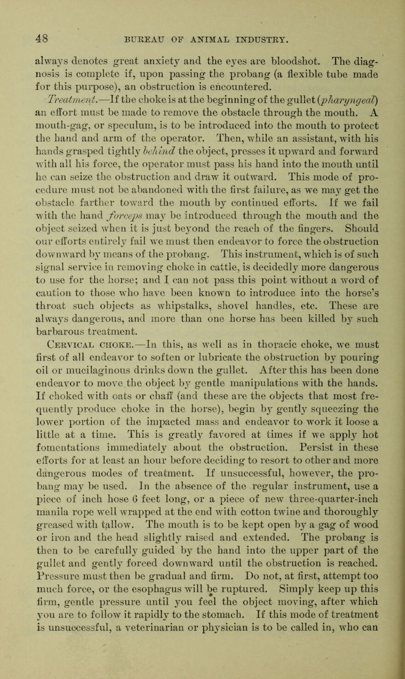 always denotes great anxiety and the eyes are bloodshot. The diag- nosis is complete if, upon passing the probang (a flexible tube made for this purpose), an obstruction is encountered. Treatment.—If the choke is at the beginning of the gullet (pharyngeal) an effort must be made to remove the obstacle through the mouth. A mouth-gag, or speculum, is to be introduced into the mouth to protect the hand and arm of the operator. Then, while an assistant, with his hands grasped tightly behind the object, presses it upward and forward with all his force, the operator must pass his hand into the mouth until he can seize the obstruction and draw it outward. This mode of pro- cedure must not be abandoned with the first failure, as we may get the obstacle farther toward the mouth by continued efforts. If we fail with the hand forceps may be introduced through the mouth and the object seized when it is just beyond the reach of the fingers. Should our efforts entirely fail we must then endeavor to force the obstruction downward by means of the probang. This instrument, which is of such signal service in removing choke in cattle, is decidedly more dangerous to use for the horse; and I can not pass this point without a word of caution to those who have been known to introduce into the horse’s throat such objects as whipstalks, shovel handles, etc. These are always dangerous, and more than one horse has been killed by such barbarous treatment. Cervical choke.—In this, as well as in thoracic choke, we must first of all endeavor to soften or lubricate the obstruction by pouring oil or mucilaginous drinks down the gullet. After this has been done endeavor to move the object by gentle manipulations with the hands. If choked with oats or chaff (and these are the objects that most fre- quently produce choke in the horse), begin b}r gently squeezing the lower portion of the impacted mass and endeavor to work it loose a little at a time. This is greatly favored at times if we apply hot fomentations immediately about the obstruction. Persist in these efforts for at least an hour before deciding to resort to other and more dangerous modes of treatment. If unsuccessful, however, the pro- bang may be used. In the absence of the regular instrument, use a piece of inch hose 6 feet long, or a piece of new three-quarter-inch manila rope well wrapped at the end with cotton twine and thoroughly greased with tallow. The mouth is to be kept open by a gag of wood or iron and the head slightly raised and extended. The probang is then to be carefully guided by the hand into the upper part of the gullet and gently forced downward until the obstruction is reached. Pressure must then be gradual and firm. Do not, at first, attempt too much force, or the esophagus will be ruptured. Simply keep up this firm, gentle pressure until you feel the object moving, after which you are to follow it rapidly to the stomach. If this mode of treatment is unsuccessful, a veterinarian or ph}^sician is to be called in, who can