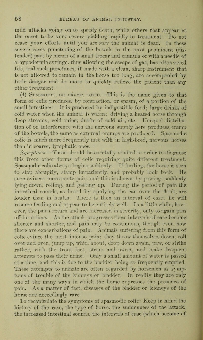 mild attacks going on to speedy death, while others that appear at the onset to be very severe yielding rapidly to treatment. Do not cease your efforts until you are sure the animal is dead. In these severe cases puncturing of the bowels in the most prominent (dis- tended) part b}^ means of a small trocar and cannula or with a needle of a hypodermic syringe, thus allowing the escape of gas, has often saved life, and such punctures, if made with a clean, sharp instrument that is not allowed to remain in the horse too long, are accompanied by little danger and do more to quickly relieve the patient than any other treatment. (4) Spasmodic, or cramp, colic.—This is the name given to that form of colic produced by contraction, or spasm, of a portion of the small intestines. It is produced by indigestible food; large drinks of cold water when the animal is warm; driving a heated horse through deep streams; cold rains; drafts of cold air, etc. Unequal distribu- tion of or interference with the nervous supply here produces cramp of the bowels, the same as external cramps are produced. Spasmodic colic is much more frequently met with in high-bred, nervous horses than in coarse, lymphatic ones. Symptoms.—These should be carefully studied in order to diagnose this from other forms of colic requiring quite different treatment. Spasmodic colic alwa}rs begins suddenly. If feeding, the horse is seen to stop abruptly, stamp impatiently, and probably look back. He soon evinces more acute pain, and this is shown by pawing, suddenly lying down, rolling, and getting up. During the period of pain the intestinal sounds, as heard by applying the ear over the flank, are louder than in health. There is then an interval of ease; he will resume feeding and appear to be entirely well. In a little while, how- ever, the pains return and are increased in severity, only to again pass off for a time. As the attack progresses these intervals of ease become shorter and shorter, and pain may be continuous, though even now there are exacerbations of pain. Animals suffering from this form of colic evince the most intense pain; they throw themselves down, roll over and over, jump up, whirl about, drop down again, paw, or strike rather, with the front feet, steam and sweat, and make frequent attempts to pass their urine. Only a small amount of water is passed at a time, and this is due to the bladder being so frequently emptied. These attempts to urinate are often regarded by horsemen as symp- toms of trouble of the kidneys or bladder. In reality they are only one of the many ways in which the horse expresses the presence of pain. As a matter of fact, diseases of the bladder or kidneys of the horse are exceedingly rare. To recapitulate the symptoms of spasmodic colic: Keep in mind the history of the case, the t}rpe of horse, the suddenness of the attack, the increased intestinal sounds, the intervals of ease (which become of