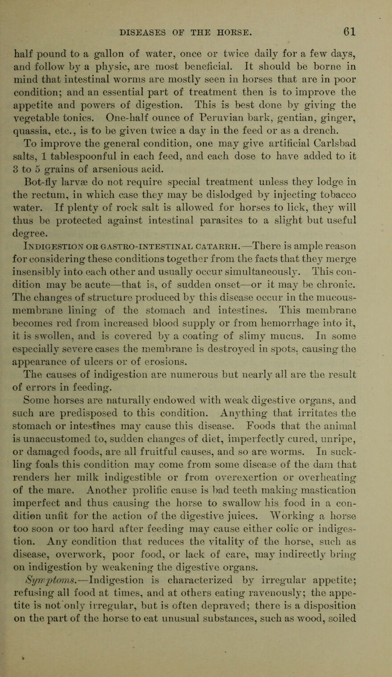 half pound to a gallon of water, once or twice daily for a few days, and follow by a pt^sic, are most beneficial. It should be borne in mind that intestinal worms are mostly seen in horses that are in poor condition; and an essential part of treatment then is to improve the appetite and powers of digestion. This is best done by giving the vegetable tonics. One-half ounce of Peruvian bark, gentian, ginger, quassia, etc., is to be given twice a da}r in the feed or as a drench. To improve the general condition, one may give artificial Carlsbad salts, 1 tablespoonful in each feed, and each dose to have added to it 3 to 5 grains of arsenious acid. © Bot-fly larvae do not require special treatment unless they lodge in the rectum, in which case they may be dislodged by injecting tobacco water. If plenty of rock salt is allowed for horses to lick, they will thus be protected against intestinal parasites to a slight but useful degree. Indigestion or gastro-intestinal catarrh.—There is ample reason for considering these conditions together from the facts that they merge insensibly into each other and usually occur simultaneous^. This con- dition may be acute—that is, of sudden onset—or it may be chronic. The changes of structure produced by this disease occur in the mucous- membrane lining of the stomach and intestines. This membrane becomes red from increased blood supply or from hemorrhage into it, it is swollen, and is covered by a coating of slimy mucus. In some especially severe cases the membrane is destroyed in spots, causing the appearance of ulcers or of erosions. The causes of indigestion are numerous but nearly all are the result of errors in feeding. Some horses are naturally endowed with weak digestive organs, and such are predisposed to this condition. Anything that irritates the stomach or intestines may cause this disease. Foods that the animal is unaccustomed to, sudden changes of diet, imperfectly cured, unripe, or damaged foods, are all fruitful causes, and so are ’worms. In suck- ling foals this condition may come from some disease of the dam that renders her milk indigestible or from overexertion or overheating of the mare. Another prolific cause is bad teeth making mastication imperfect and thus causing the horse to swallow his food in a con- dition unfit for the action of the digestive juices. Working a horse too soon or too hard after feeding may cause either colic or indiges- tion. Any condition that reduces the vitality of the horse, such as disease, overwork, poor food, or lack of care, may indirectly bring on indigestion by weakening the digestive organs. Symptoms.—Indigestion is characterized by irregular appetite; refusing ail food at times, and at others eating ravenously; the appe- tite is not only irregular, but is often depraved; there is a disposition on the part of the horse to eat unusual substances, such as wood, soiled