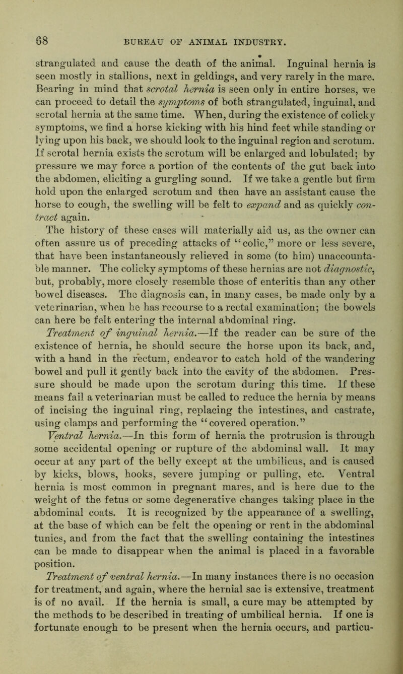 strangulated and cause the death of the animal. Inguinal hernia is seen mostly in stallions, next in geldings, and very rarely in the mare. Bearing in mind that scrotal hernia is seen only in entire horses, we can proceed to detail the symptoms of both strangulated, inguinal, and scrotal hernia at the same time. When, during the existence of colicky symptoms, we find a horse kicking with his hind feet while standing or lying upon his back, we should look to the inguinal region and scrotum. If scrotal hernia exists the scrotum will be enlarged and tabulated; by pressure we may force a portion of the contents of the gut back into the abdomen, eliciting a gurgling sound. If we take a gentle but firm hold upon the enlarged scrotum and then have an assistant cause the horse to cough, the swelling will be felt to expand and as quickly con- tract again. The history of these cases will materially aid us, as the owner can often assure us of preceding attacks of u colic,” more or less severe, that have been instantaneously relieved in some (to him) unaccounta- ble manner. The colicky symptoms of these hernias are not diagnostic, but, probably, more closely resemble those of enteritis than any other bowel diseases. The diagnosis can, in many cases, be made only by a veterinarian, when he has recourse to a rectal examination; the bowels can here be felt entering the internal abdominal ring. Treatment of inguinal hernia.—If the reader can be sure of the existence of hernia, he should secure the horse upon its back, and, with a hand in the rectum, endeavor to catch hold of the wandering bowel and pull it gently back into the cavity of the abdomen. Pres- sure should be made upon the scrotum during this time. If these means fail a veterinarian must be called to reduce the hernia by means of incising the inguinal ring, replacing the intestines, and castrate, using clamps and performing the “ covered operation.” Ventral hernia,—In this form of hernia the protrusion is through some accidental opening or rupture of the abdominal wall. It may occur at any part of the belly except at the umbilicus, and is caused by kicks, blows, hooks, severe jumping or pulling, etc. Ventral hernia is most common in pregnant mares, and is here due to the weight of the fetus or some degenerative changes taking place in the abdominal coats. It is recognized by the appearance of a swelling, at the base of which can be felt the opening or rent in the abdominal tunics, and from the fact that the swelling containing the intestines can be made to disappear when the animal is placed in a favorable position. Treatment of ventral hernia.—In many instances there is no occasion for treatment, and again, where the hernial sac is extensive, treatment is of no avail. If the hernia is small, a cure may be attempted by the methods to be described in treating of umbilical hernia. If one is fortunate enough to be present when the hernia occurs, and particu-