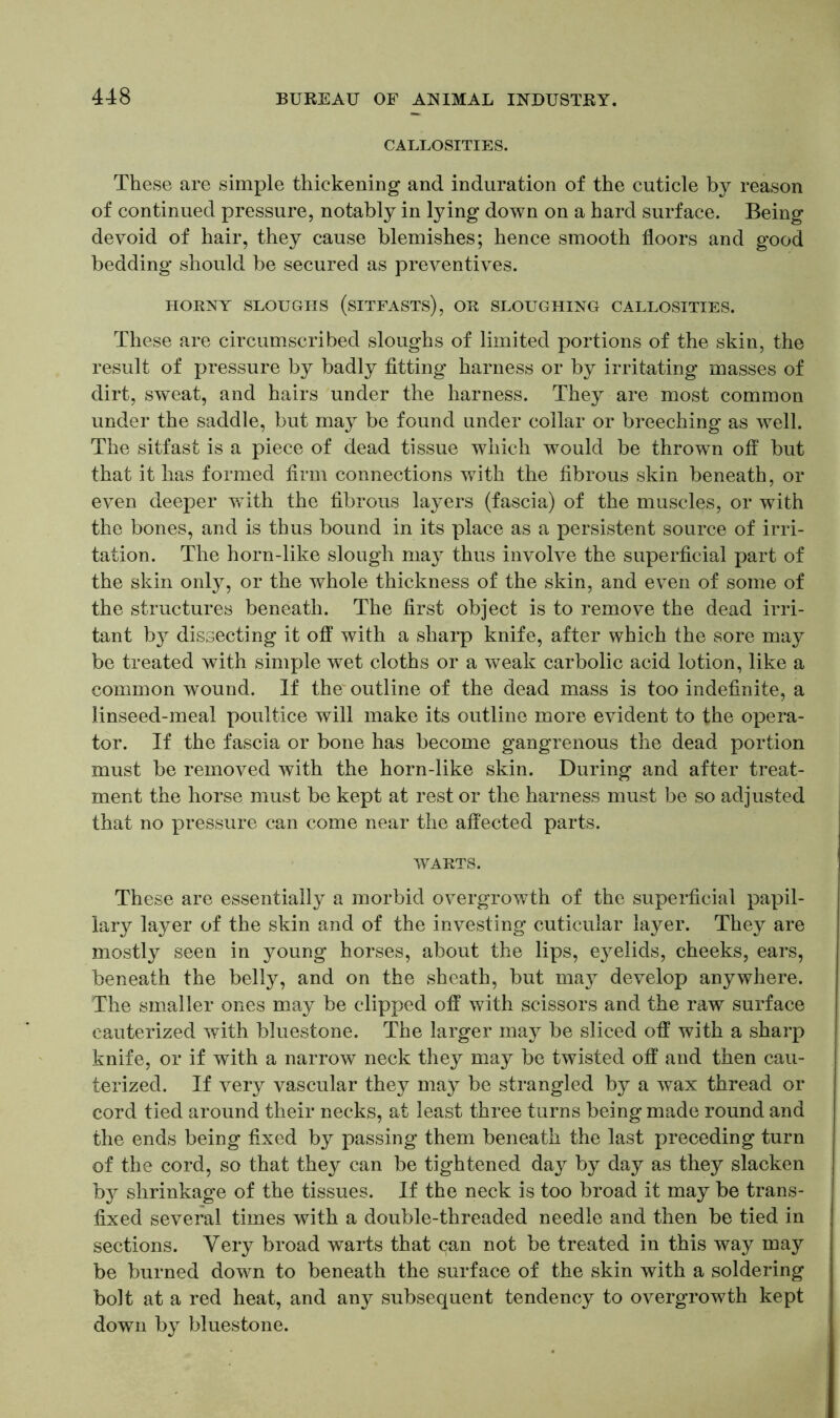 CALLOSITIES. These are simple thickening and induration of the cuticle by reason of continued pressure, notably in lying down on a hard surface. Being devoid of hair, they cause blemishes; hence smooth floors and good bedding should be secured as preventives. HORNY SLOUGHS (SITFASTS), OR SLOUGHING CALLOSITIES. These are circumscribed sloughs of limited portions of the skin, the result of pressure by badly fitting harness or by irritating masses of dirt, sweat, and hairs under the harness. They are most common under the saddle, but may be found under collar or breeching as well. The sitfast is a piece of dead tissue which would be thrown off but that it has formed firm connections with the fibrous skin beneath, or even deeper with the fibrous layers (fascia) of the muscles, or with the bones, and is thus bound in its place as a persistent source of irri- tation. The horn-like slough may thus involve the superficial part of the skin only, or the whole thickness of the skin, and even of some of the structures beneath. The first object is to remove the dead irri- tant b}^ dissecting it off with a sharp knife, after which the sore may be treated with simple wet cloths or a weak carbolic acid lotion, like a common wound. If the outline of the dead mass is too indefinite, a linseed-meal poultice will make its outline more evident to the opera- tor. If the fascia or bone has become gangrenous the dead portion must be removed with the horn-like skin. During and after treat- ment the horse must be kept at rest or the harness must be so adjusted that no pressure can come near the affected parts. WARTS. These are essentially a morbid overgrowth of the superficial papil- lary layer of the skin and of the investing cuticular layer. They are mostly seen in young horses, about the lips, eyelids, cheeks, ears, beneath the belly, and on the sheath, but may develop anywhere. The smaller ones may be clipped off with scissors and the raw surface cauterized with bluestone. The larger may be sliced off with a sharp knife, or if with a narrow neck they may be twisted off and then cau- terized. If very vascular they may be strangled by a wax thread or cord tied around their necks, at least three turns being made round and the ends being fixed by passing them beneath the last preceding turn of the cord, so that they can be tightened day by day as they slacken by shrinkage of the tissues. If the neck is too broad it may be trans- fixed several times with a double-threaded needle and then be tied in sections. Very broad warts that can not be treated in this way may be burned down to beneath the surface of the skin with a soldering bolt at a red heat, and any subsequent tendency to overgrowth kept down by bluestone.