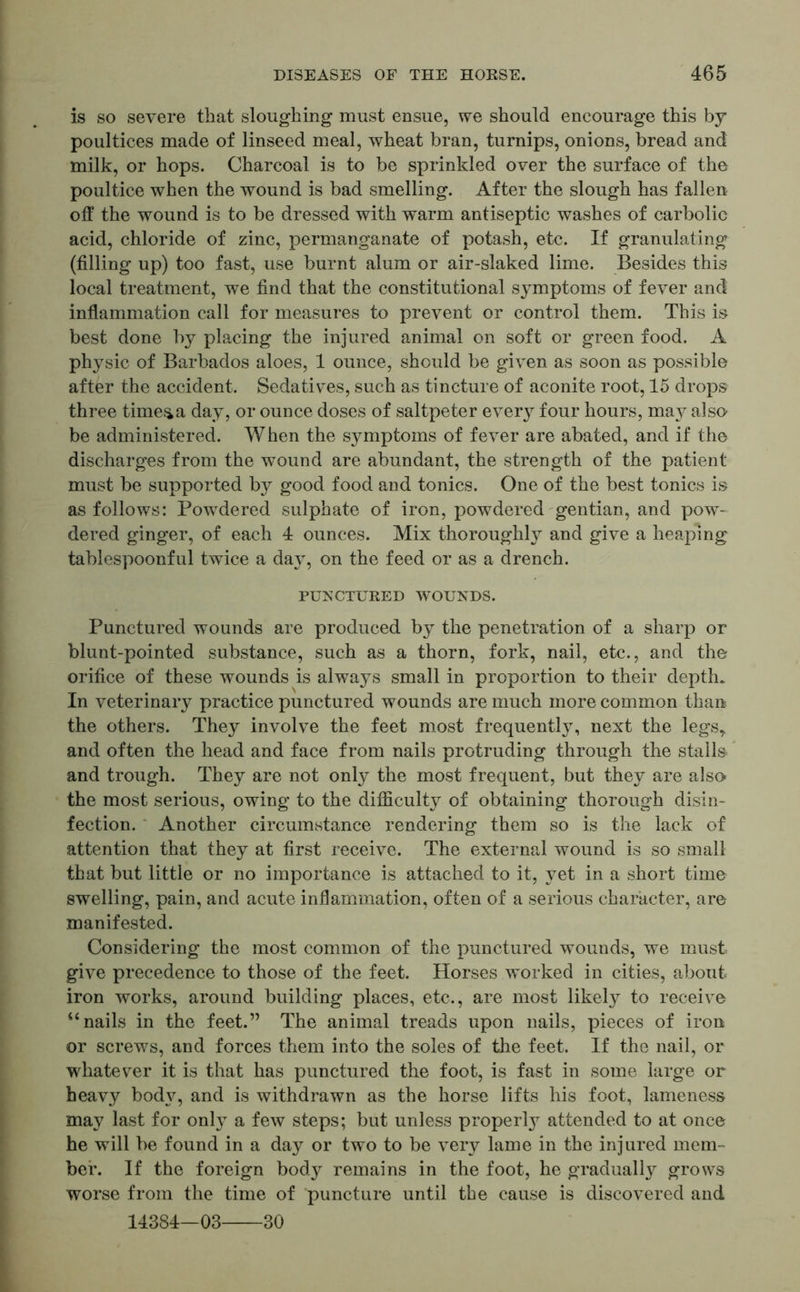 is so severe that sloughing must ensue, we should encourage this by poultices made of linseed meal, wheat bran, turnips, onions, bread and milk, or hops. Charcoal is to be sprinkled over the surface of the poultice when the wound is bad smelling. After the slough has fallen off the wound is to be dressed with warm antiseptic washes of carbolic acid, chloride of zinc, permanganate of potash, etc. If granulating (filling up) too fast, use burnt alum or air-slaked lime. Besides this local treatment, we find that the constitutional symptoms of fever and inflammation call for measures to prevent or control them. This is best done by placing the injured animal on soft or green food. A physic of Barbados aloes, 1 ounce, should be given as soon as possible after the accident. Sedatives, such as tincture of aconite root, 15 drops three time&a day, or ounce doses of saltpeter every four hours, may also be administered. When the symptoms of fever are abated, and if the discharges from the wound are abundant, the strength of the patient must be supported by good food and tonics. One of the best tonics is as follows: Powdered sulphate of iron, powdered gentian, and pow- dered ginger, of each 4 ounces. Mix thoroughly and give a heaping tablespoonful twice a day, on the feed or as a drench. PUNCTURED WOUNDS. Punctured wounds are produced by the penetration of a sharp or blunt-pointed substance, such as a thorn, fork, nail, etc., and the orifice of these wounds is always small in proportion to their depth. In veterinary practice punctured wounds are much more common than the others. They involve the feet most frequently, next the legs,, and often the head and face from nails protruding through the stalls and trough. They are not only the most frequent, but they are also the most serious, owing to the difficulty of obtaining thorough disin- fection. Another circumstance rendering them so is the lack of attention that they at first receive. The external wound is so small that but little or no importance is attached to it, yet in a short time swelling, pain, and acute inflammation, often of a serious character, are- manifested. Considering the most common of the punctured wounds, we must give precedence to those of the feet. Horses worked in cities, about iron works, around building places, etc., are most likely to receive “nails in the feet.” The animal treads upon nails, pieces of iron or screws, and forces them into the soles of the feet. If the nail, or whatever it is that has punctured the foot, is fast in some large or heavy body, and is withdrawn as the horse lifts his foot, lameness may last for onl}T a few steps; but unless properly attended to at once he will be found in a day or two to be very lame in the injured mem- ber. If the foreign body remains in the foot, he gradually grows worse from the time of puncture until the cause is discovered and 14384—03 30