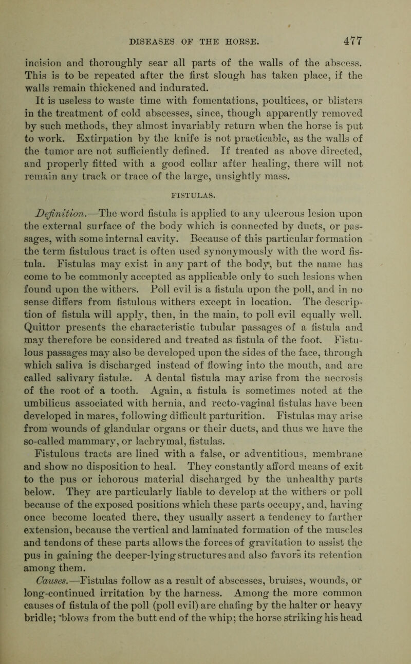 incision and thoroughly sear all parts of the walls of the abscess. This is to be repeated after the first slough has taken place, if the walls remain thickened and indurated. It is useless to waste time with fomentations, poultices, or blisters in the treatment of cold abscesses, since, though apparently removed by such methods, they almost invariably return when the horse is put to work. Extirpation by the knife is not practicable, as the walls of the tumor are not sufficiently defined. If treated as above directed, and properly fitted with a good collar after healing, there will not remain any track or trace of the large, unsightly mass. FISTULAS. Definition.—The word fistula is applied to any ulcerous lesion upon the external surface of the body which is connected by ducts, or pas- sages, with some internal cavity. Because of this particular formation the term fistulous tract is often used synonymous^ with the word fis- tula. Fistulas may exist in any part of the body, but the name has come to be commonly accepted as applicable only to such lesions when found upon the withers. Poll evil is a fistula upon the poll, and in no sense differs from fistulous withers except in location. The descrip- tion of fistula will appty, then, in the main, to poll evil equally well. Quittor presents the characteristic tubular passages of a fistula and may therefore be considered and treated as fistula of the foot. Fistu- lous passages may also be developed upon the sides of the face, through which saliva is discharged instead of flowing into the mouth, and are called salivary fistulee. A dental fistula may arise from the necrosis of the root of a tooth. Again, a fistula is sometimes noted at the umbilicus associated with hernia, and recto-vaginal fistulas have been developed in mares, following difficult parturition. Fistulas may arise from wounds of glandular organs or their ducts, and thus we have the so-called mammary, or lachrymal, fistulas. Fistulous tracts are lined with a false, or adventitious, membrane and show no disposition to heal. They constantly afford means of exit to the pus or ichorous material discharged by the unhealthy parts below. They are particularly liable to develop at the withers or poll because of the exposed positions which these parts occupy, and, having once become located there, they usually assert a tendency to farther extension, because the vertical and laminated formation of the muscles and tendons of these parts allows the forces of gravitation to assist the pus in gaining the deeper-lying structures and also favors its retention among them. Causes.—Fistulas follow as a result of abscesses, bruises, wounds, or long-continued irritation by the harness. Among the more common causes of fistula of the poll (poll evil) are chafing by the halter or heavy bridle; 'blows from the butt end of the whip; the horse striking his head
