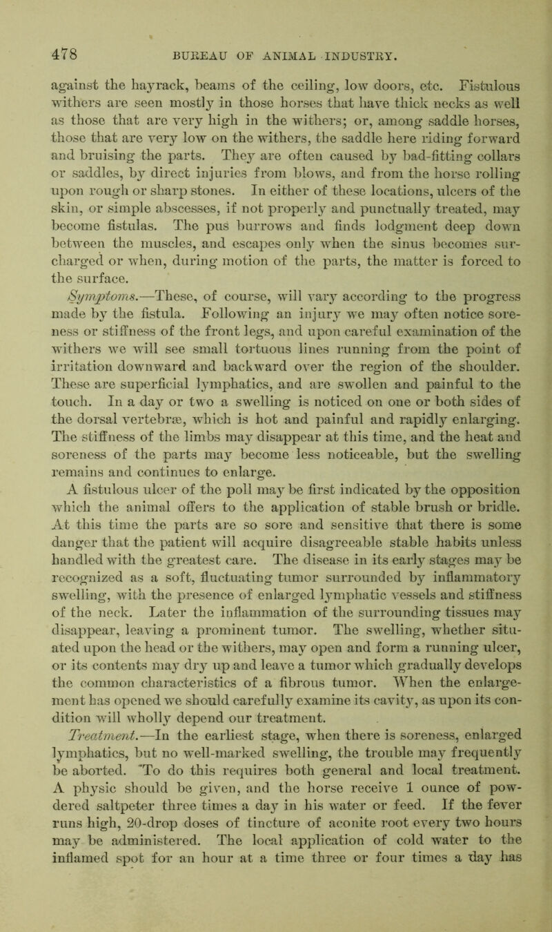 against the hayrack, beams of the ceiling, low doors, etc. Fistulous withers are seen mostly in those horses that have thick necks as well as those that are very high in the withers; or, among saddle horses, those that are very low on the withers, the saddle here riding forward and bruising the parts. They are often caused by bad-fitting collars or saddles, by direct injuries from blows, and from the horse rolling upon rough or sharp stones. In either of these locations, ulcers of the skin, or simple abscesses, if not properly and punctually treated, may become fistulas. The pus burrows and finds lodgment deep down between the muscles, and escapes only when the sinus becomes sur- charged or when, during' motion of the parts, the matter is forced to the surface. Symptoms.—These, of course, will vary according to the progress made by the fistula. Following an injury we may often notice sore- ness or stiffness of the front legs, and upon careful examination of the withers we will see small tortuous lines running from the point of irritation downward and backward over the region of the shoulder. These are superficial lymphatics, and are swollen and painful to the touch. In a day or two a swelling is noticed on one or both sides of the dorsal vertebras, which is hot and painful and rapidty enlarging. The stiffness of the limbs may disappear at this time, and the heat and soreness of the parts may become less noticeable, but the swelling remains and continues to enlarge. A fistulous ulcer of the poll may be first indicated by the opposition which the animal offers to the application of stable brush or bridle. At this time the parts are so sore and sensitive that there is some danger that the patient will acquire disagreeable stable habits unless handled with the greatest care. The disease in its early stages may be recognized as a soft, fluctuating tumor surrounded by inflammatory swelling, with the presence of enlarged lymphatic vessels and stiffness of the neck. Later the inflammation of the surrounding tissues may disappear, leaving a prominent tumor. The swelling, whether situ- ated upon the head or the withers, may open and form a running ulcer, or its contents may dry up and leave a tumor which gradually develops the common characteristics of a fibrous tumor. When the enlarge- ment has opened we should carefully examine its cavit}7, as upon its con- dition will wholly depend our treatment. Treatment.—In the earliest stage, when there is soreness, enlarged lymphatics, but no well-marked swelling, the trouble may frequently be aborted. 'To do this requires both general and local treatment. A physic should be given, and the horse receive 1 ounce of pow- dered saltpeter three times a day in his water or feed. If the fever runs high, 20-drop doses of tincture of aconite root every two hours may be administered. The local application of cold water to the inflamed spot for an hour at a time three or four times a flay has