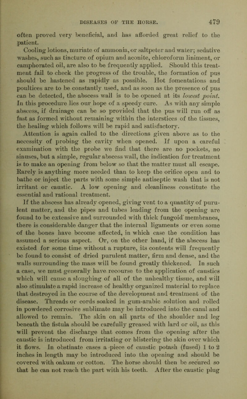 often proved very beneficial, and has afforded great relief to the patient. Cooling lotions, muriate of ammonia, or saltpeter and water; sedative washes, such as tincture of opium and aconite, chloroform liniment, or camphorated oil, are also to be frequently applied. Should this treat- ment fail to check the progress of the trouble, the formation of pus should be hastened as rapidly as possible. Hot fomentations and poultices are to be constantly used, and as soon as the presence of pus can be detected, the abscess wall is to be opened at its lowest point. In this procedure lies our hope of a speedy cure. As with any simple abscess, if drainage can be so provided that the pus will run off as fast as formed without remaining within the interstices of the tissues, the healing which follows will be rapid and satisfactory. Attention is again called to the directions given above as to the necessity of probing the cavity when opened. If upon a careful examination with the probe we find that there are no pockets, no sinuses, but a simple, regular abscess wall, the indication for treatment is to make an opening from below so that the matter must all escape. Ilarely is anything more needed than to keep the orifice open and to bathe or inject the parts with some simple antiseptic wash that is not irritant or caustic. A low opening and cleanliness constitute the essential and rational treatment. If the abscess has already opened, giving vent to a quantity of puru- lent matter, and the pipes and tubes leading from the opening are found to be extensive and surrounded with thick fungoid' membranes, there is considerable danger that the internal ligaments or even some of the bones have become affected, in which case the condition has assumed a serious aspect. Or, on the other hand, if the abscess has existed for some time without a rupture, its contents will frequently be found to consist of dried purulent matter, firm and dense, and the walls surrounding the mass will be found greatly thickened. In such a case, we must generally have recourse to the application of caustics which will cause a sloughing of all of the unhealthy tissue, and will also stimulate a rapid increase of healthy organized material to replace that destroyed in the course of the development and treatment of the disease. Threads or cords soaked in gum-arabic solution and rolled in powdered corrosive sublimate may be introduced into the canal and allowed to remain. The skin on all parts of the shoulder and leg beneath the fistula should be carefully greased with lard or oil, as this will prevent the discharge that comes from the opening after the caustic is introduced from irritating or blistering the skin over which it flows. In obstinate cases a piece of caustic potash (fused) 1 to 2 inches in length may be introduced into the opening and should be covered with oakum or cotton. The horse should then be secured so that he can not reach the part with his teeth. After the caustic plug