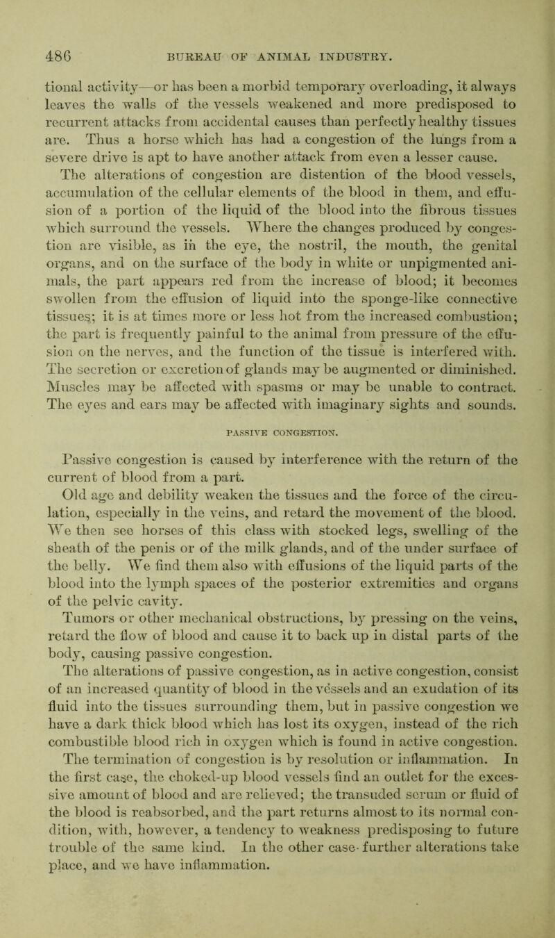 tional activity—or has been a morbid temporary overloading, it always leaves the walls of the vessels weakened and more predisposed to recurrent attacks from accidental causes than perfectly healthy tissues are. Thus a horse which has had a congestion of the lungs from a severe drive is apt to have another attack from even a lesser cause. The alterations of congestion are distention of the Mood vessels, accumulation of the cellular elements of the blood in them, and effu- sion of a portion of the liquid of the blood into the fibrous tissues which surround the vessels. Where the changes produced by conges- tion are visible, as in the eye, the nostril, the mouth, the genital organs, and on the surface of the body in white or unpigmented ani- mals, the part appears red from the increase of blood; it becomes swollen from the effusion of liquid into the sponge-like connective tissues;, it is at times more or less hot from the increased combustion; the part is frequently painful to the animal from pressure of the effu- sion on the nerves, and the function of the tissue is interfered with. The secretion or excretion of glands may be augmented or diminished. Muscles may be affected with spasms or may be unable to contract. The eyes and ears may be affected with imaginary sights and sounds. PASSIVE CONGESTION. Passive congestion is caused by interference with the return of the current of blood from a part. Old age and debility weaken the tissues and the force of the circu- lation, especially in the veins, and retard the movement of the blood. We then see horses of this class with stocked legs, swelling of the sheath of the penis or of the milk glands, and of the under surface of the belly. We find them also with effusions of the liquid parts of the blood into the l}Tmph spaces of the posterior extremities and organs of the pelvic cavity. Tumors or other mechanical obstructions, by pressing on the veins, retard the flow of blood and cause it to back up in distal parts of the body, causing passive congestion. The alterations of passive congestion, as in active congestion, consist of an increased quantit}7 of blood in the vessels and an exudation of its fluid into the tissues surrounding them, but in passive congestion we have a dark thick blood which has lost its oxygen, instead of the rich combustible blood rich in oxygen which is found in active congestion. The termination of congestion is by resolution or inflammation. In the first case, the choked-up blood vessels find an outlet for the exces- sive amount of blood and are relieved; the transuded serum or fluid of the blood is reabsorbed, and the part returns almost to its normal con- dition, with, however, a tendency to weakness predisposing to future trouble of the same kind. In the other case- further alterations take place, and we have inflammation.