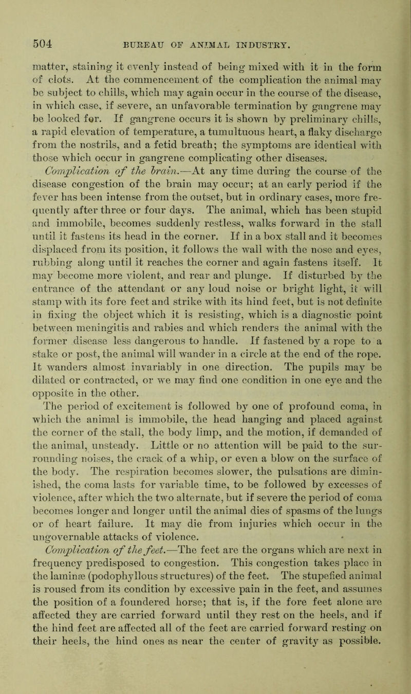 matter, staining it evenly instead of being mixed with it in the form of clots. At the commencement of the complication the animal may be subject to chills, which may again occur in the course of the disease, in which case, if severe, an unfavorable termination by gangrene may be looked for. If gangrene occurs it is shown by preliminary chills, a rapid elevation of temperature, a tumultuous heart, a flaky discharge from the nostrils, and a fetid breath; the symptoms are identical with those which occur in gangrene complicating other diseases. Complication of the brain.—At any time during the course of the disease congestion of the brain may occur; at an early period if the fever has been intense from the outset, but in ordinary cases, more fre- quently after three or four days. The animal, which has been stupid and immobile, becomes suddenly restless, walks forward in the stall until it fastens its head in the corner. If in a box stall and it becomes displaced from its position, it follows the wall with the nose and eyes, rubbing along until it reaches the corner and again fastens itself. It may become more violent, and rear and plunge. If disturbed by the entrance of the attendant or any loud noise or bright light, it will stamp with its fore feet and strike with its hind feet, but is not definite in fixing the object which it is resisting, which is a diagnostic point between meningitis and rabies and which renders the animal with the former disease less dangerous to handle. If fastened by a rope to a stake or post, the animal will wander in a circle at the end of the rope. It wanders almost invariably in one direction. The pupils may be dilated or contracted, or we may find one condition in one eye and the opposite in the other. The period of excitement is followed by one of profound coma, in which the animal is immobile, the head hanging and placed against the corner of the stall, the body limp, and the motion, if demanded of the animal, unsteady. Little or no attention will be paid to the sur- rounding noises, the crack of a whip, or even a blow on the surface of the body. The respiration becomes slower, the pulsations are dimin- ished, the coma lasts for variable time, to be followed by excesses of violence, after which the two alternate, but if severe the period of coma becomes longer and longer until the animal dies of spasms of the lungs or of heart failure. It may die from injuries which occur in the ungovernable attacks of violence. Complication of the feet.—The feet are the organs which are next in frequency predisposed to congestion. This congestion takes place in the laminas (podophyllous structures) of the feet. The stupefied animal is roused from its condition by excessive pain in the feet, and assumes the position of a foundered horse; that is, if the fore feet alone are affected they are carried forward until they rest on the heels, and if the hind feet are affected all of the feet are carried forward resting on their heels, the hind ones as near the center of gravit}^ as possible.