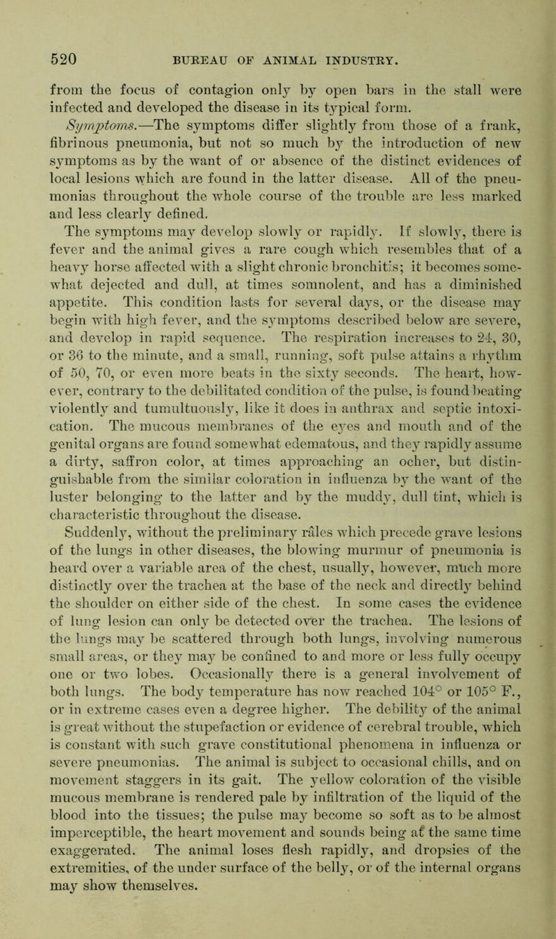from the focus of contagion only by open bars in the stall were infected and developed the disease in its typical form. >Symptoms.—The symptoms differ slightly from those of a frank, fibrinous pneumonia, but not so much by the introduction of new symptoms as by the want of or absence of the distinct evidences of local lesions which are found in the latter disease. All of the pneu- monias throughout the whole course of the trouble are less marked and less clearly defined. The symptoms may develop slowly or rapidly. If slowly, there is fever and the animal gives a rare cough which resembles that of a heavy horse affected with a slight chronic bronchitis; it becomes some- what dejected and dull, at times somnolent, and has a diminished appetite. This condition lasts for several days, or the disease may begin with high fever, and the symptoms described below are severe, and develop in rapid sequence. The respiration increases to 24, 30, or 36 to the minute, and a small, running, soft pulse attains a rhythm of 50, 70, or even more beats in the sixty seconds. The heart, how- ever, contrary to the debilitated condition of the pulse, is found beating violently and tumultuously, like it does in anthrax and septic intoxi- cation. The mucous membranes of the eyes and mouth and of the genital organs are found somewhat edematous, and they rapidly assume a dirty, saffron color, at times approaching an ocher, but distin- guishable from the similar coloration in influenza by the want of the luster belonging to the latter and by the muddy, dull tint, which is characteristic throughout the disease. Suddenty, without the preliminary rales which precede grave lesions of the lungs in other diseases, the blowing murmur of pneumonia is heard over a variable area of the chest, usually, however, much more distinctly over the trachea at the base of the neck and directly behind the shoulder on either side of the chest. In some cases the evidence of lung lesion can only be detected over the trachea. The lesions of the lungs may be scattered through both lungs, involving numerous small areas, or they may be confined to and more or less fully occupy one or two lobes. Occasionally there is a general involvement of both lungs. The body temperature has now reached 104° or 105° F., or in extreme cases even a degree higher. The debility of the animal is great without the stupefaction or evidence of cerebral trouble, which is constant with such grave constitutional phenomena in influenza or severe pneumonias. The animal is subject to occasional chills, and on movement staggers in its gait. The yellow coloration of the visible mucous membrane is rendered pale by infiltration of the liquid of the blood into the tissues; the pulse may become so soft as to be almost imperceptible, the heart movement and sounds being a£ the same time exaggerated. The animal loses flesh rapidly, and dropsies of the extremities, of the under surface of the belly, or of the internal organs may show themselves.