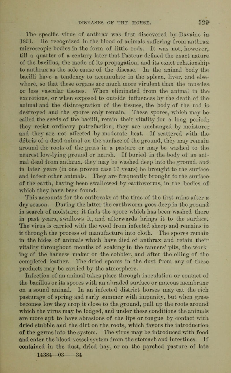 The specific virus of anthrax was first discovered b}^ Davaine in 1851. Pie recognized in the blood of animals suffering from anthrax microscopic bodies in the form of little rods. It was not, however,, till a quarter of a century later that Pasteur defined the exact nature of the bacillus, the mode of its propagation, and its exact relationship to anthrax as the sole cause of the disease. In the animal body the bacilli have a tendency to accumulate in the spleen, liver, and else- where, so that these organs are much more virulent than the muscles, or less vascular tissues. When eliminated from the animal in the excretions, or when exposed to outside influences by the death of the* animal and the disintegration of the tissues, the body of the rod is destroyed and the spores only remain. These spores, which may be called the seeds of the bacilli, retain their vitality for a long period; they resist ordinary putrefaction; they are unchanged by moisture;; and they are not affected by moderate heat. If scattered with the- debris of a dead animal on the surface of the ground, they ma}^ remain around the roots of the grass in a pasture or may be washed to the nearest low-lying ground or marsh. If buried in the body of an ani- mal dead from anthrax, they may be washed deep into the ground, and in later years (in one proven case 17 years) be brought to the surface' and infect other animals. They are frequently brought to the surface of the earth, having been swallowed by earthworms, in the bodies of which they have been found. This accounts for the outbreaks at the time of the first rains after a dry season. During the latter the earthworm goes deep in the ground in search of moisture; it finds the spore which has been washed there in past j^ears, swallows it, and afterwards brings it to the surface. The virus is carried with the wool from infected sheep and remains in it through the process of manufacture into cloth. The spores remain in the hides of animals which have died of anthrax and retain their vitality throughout months of soaking in the tanners’ pits, the work- ing of the harness maker or the cobbler, and after the oiling of the completed leather. The dried spores in the dust from any of these products may be carried by the atmosphere. Infection of an animal takes place through inoculation or contact of the bacillus or its spores with an abraded surface or mucous membrane on a sound animal. In an infected district horses may eat the rich pasturage of spring and early summer with impunity, but when grass becomes low they crop it close to the ground, pull up the roots around which the virus may be lodged, and under these conditions the animals are more apt to have abrasions of the lips or tongue by contact with dried stubble and the dirt on the roots, which favors the introduction of the germs into the system. The virus may be introduced with food and enter the blood-vessel system from the stomach and intestines. If contained in the dust, dried hay, or on the parched pasture of late 14384—03 34