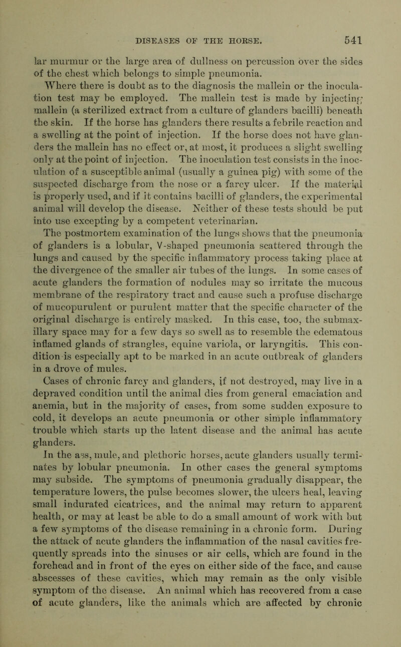 lar murmur or the large area of dullness on percussion over the sides of the chest which belongs to simple pneumonia. Where there is doubt as to the diagnosis the mallein or the inocula - tion test may be employed. The mallein test is made by injecting mallein (a sterilized extract from a culture of glanders bacilli) beneath the skin. If the horse has glanders there results a febrile reaction and a swelling at the point of injection. If the horse does not have glan- ders the mallein has no effect or, at most, it produces a slight swelling only at the point of injection. The inoculation test consists in the inoc- ulation of a susceptible animal (usually a guinea pig) with some of the suspected discharge from the nose or a farcy ulcer. If the material is properly used, and if ifc contains bacilli of glanders, the experimental animal will develop the disease. Neither of these tests should be put into use excepting by a competent veterinarian. The postmortem examination of the lungs shows that the pneumonia of glanders is a lobular, V-shaped pneumonia scattered through the lungs and caused b}^ the specific inflammatory process taking place at the divergence of the smaller air tubes of the lungs. In some cases of acute glanders the formation of nodules may so irritate the mucous membrane of the respiratory tract and cause such a profuse discharge of mucopurulent or purulent matter that the specific character of the original discharge is entirely masked. In this case, too, the submax- illary space may for a few days so swell as to resemble the edematous inflamed glands of strangles, equine variola, or laryngitis. This con- dition is especially apt to be marked in an acute outbreak of glanders in a drove of mules. Cases of chronic farcy and glanders, if not destroyed, may live in a depraved condition until the animal dies from general emaciation and anemia, but in the majority of cases, from some sudden exposure to cold, it develops an acute pneumonia or other simple inflammatory trouble which starts up the latent disease and the animal has acute glanders. In the ass, mule, and plethoric horses, acute glanders usually termi- nates by lobular pneumonia. In other cases the general symptoms may subside. The symptoms of pneumonia gradually disappear, the temperature lowers, the pulse becomes slower, the ulcers heal, leaving small indurated cicatrices, and the animal may return to apparent health, or may at least be able to do a small amount of work with but a few symptoms of the disease remaining in a chronic form. During the attack of acute glanders the inflammation of the nasal cavities fre- quently spreads into the sinuses or air cells, which are found in the forehead and in front of the eyes on either side of the face, and cause abscesses of these cavities, which may remain as the only visible symptom of the disease. An animal which has recovered from a case of acute glanders, like the animals which are affected by chronic