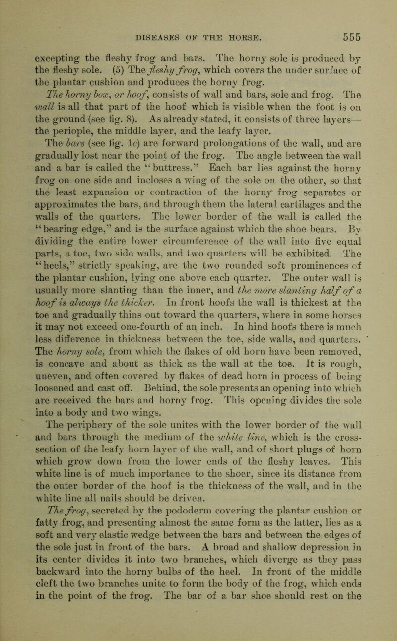 excepting the fleshy frog and bars. The horny sole is produced by the flesh}^ sole. (5) The fleshy frog, which covers the under surface of the plantar cushion and produces the horny frog. The horny box, or hoof \ consists of wall and bars, sole and frog. The wall is all that part of the hoof which is visible when the foot is on the ground (see fig. 8). As already stated, it consists of three layers— the periople, the middle layer, and the leafy layer. The bars (see fig. 1 c) are forward prolongations of the wall, and are gradual^ lost near the point of the frog. The angle between the wall and a bar is called the u buttress.” Each bar lies against the horny frog on one side and incloses a wing of the sole on the other, so that the least expansion or contraction of the horny frog separates or approximates the bars, and through them the lateral cartilages and the walls of the quarters. The lower border of the wall is called the “bearing edge,” and is the surface against which the shoe bears. By dividing the entire lower circumference of the wall into five equal parts, a toe, two side walls, and two quarters will be exhibited. The “ heels,” strictty speaking, are the two rounded soft prominences of the plantar cushion, lying one above each quarter. The outer wall is usually more slanting than the inner, and the more slanting half of a hoof is always the thicker. In front hoofs the wall is thickest at the toe and gradually thins out toward the quarters, where in some horses it may not exceed one-fourth of an inch. In hind hoofs there is much less difference in thickness between the toe, side walls, and quarters. The horny sole, from which the flakes of old horn have been removed, is concave and about as thick as the wall at the toe. It is rough, uneven, and often covered by flakes of dead horn in process of being loosened and cast off. Behind, the sole presents an opening into which are received the bars and horny frog. This opening divides the sole into a body and two wings. The periphery of the sole unites with the lower border of the wall and bars through the medium of the white line, which is the cross- section of the leafy horn layer of the wall, and of short plugs of horn which grow down from the lower ends of the fleshy leaves. This white line is of much importance to the shoer, since its distance from the outer border of the hoof is the thickness of the wall, and in the white line all nails should be driven. The frog, secreted by the pododerm covering the plantar cushion or fatty frog, and presenting almost the same form as the latter, lies as a soft and very elastic wedge between the bars and between the edges of the sole just in front of the bars. A broad and shallow depression in its center divides it into two branches, which diverge as they pass backward into the horn}^ bulbs of the heel. In front of the middle cleft the two branches unite to form the body of the frog, which ends in the point of the frog. The bar of a bar shoe should rest on the