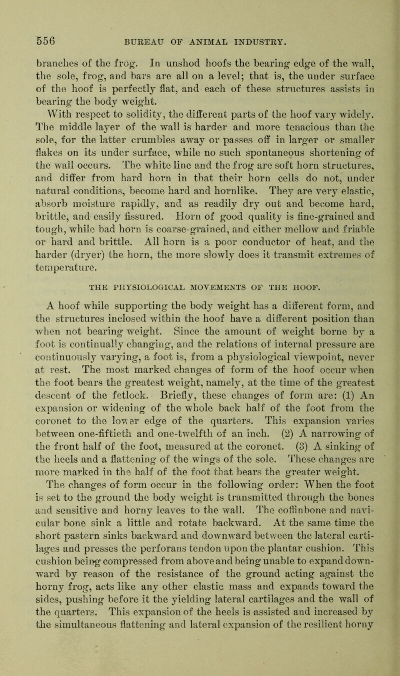 branches of the frog. In unshod hoofs the bearing edge of the wall, the sole, frog, and bars are all on a level; that is, the under surface of the hoof is perfectly flat, and each of these structures assists in bearing the body weight. With respect to solidity, the different parts of the hoof vary widely. The middle la}Ter of the wall is harder and more tenacious than the sole, for the latter crumbles away or passes off in larger or smaller flakes on its under surface, while no such spontaneous shortening of the wall occurs. The white line and the frog are soft horn structures, and differ from hard horn in that their horn cells do not, under natural conditions, become hard and hornlike. They are very elastic, absorb moisture rapidly, and as readily dry out and become hard, brittle, and easily fissured. Horn of good quality is fine-grained and tough, while bad horn is coarse-grained, and either mellow and friable or hard and brittle. All horn is a poor conductor of heat, and the harder (dryer) the horn, the more slowly does it transmit extremes of temperature. THE PHYSIOLOGICAL MOVEMENTS OF THE HOOF. A hoof while supporting the body weight has a different form, and the structures inclosed within the hoof have a different position than when not bearing weight. Since the amount of weight borne by a foot is continually changing, and the relations of internal pressure are continuously varying, a foot is, from a physiological viewpoint, never at rest. The most marked changes of form of the hoof occur when the foot bears the greatest weight, namely, at the time of the greatest descent of the fetlock. Briefly, these changes of form are: (1) An expansion or widening of the whole back half of the foot from the coronet to the lover edge of the quarters. This expansion varies between one-fiftieth and one-twelfth of an inch. (2) A narrowing of the front half of the foot, measured at the coronet. (3) A sinking of the heels and a flattening of the wings of the sole. These changes are more marked in the half of the foot that bears the greater weight. The changes of form occur in the following order: When the foot is set to the ground the body weight is transmitted through the bones and sensitive and horny leaves to the wall. The cofiinbone and navi- cular bone sink a little and rotate backward. At the same time the short pastern sinks backward and downward between the lateral carti- lages and presses the perforans tendon upon the plantar cushion. This cushion being compressed from above and being unable to expand down- ward by reason of the resistance of the ground acting against the horny frog, acts like any other elastic mass and expands toward the sides, pushing before it the yielding lateral cartilages and the wall of the quarters. This expansion of the heels is assisted and increased by the simultaneous flattening and lateral expansion of the resilient horny
