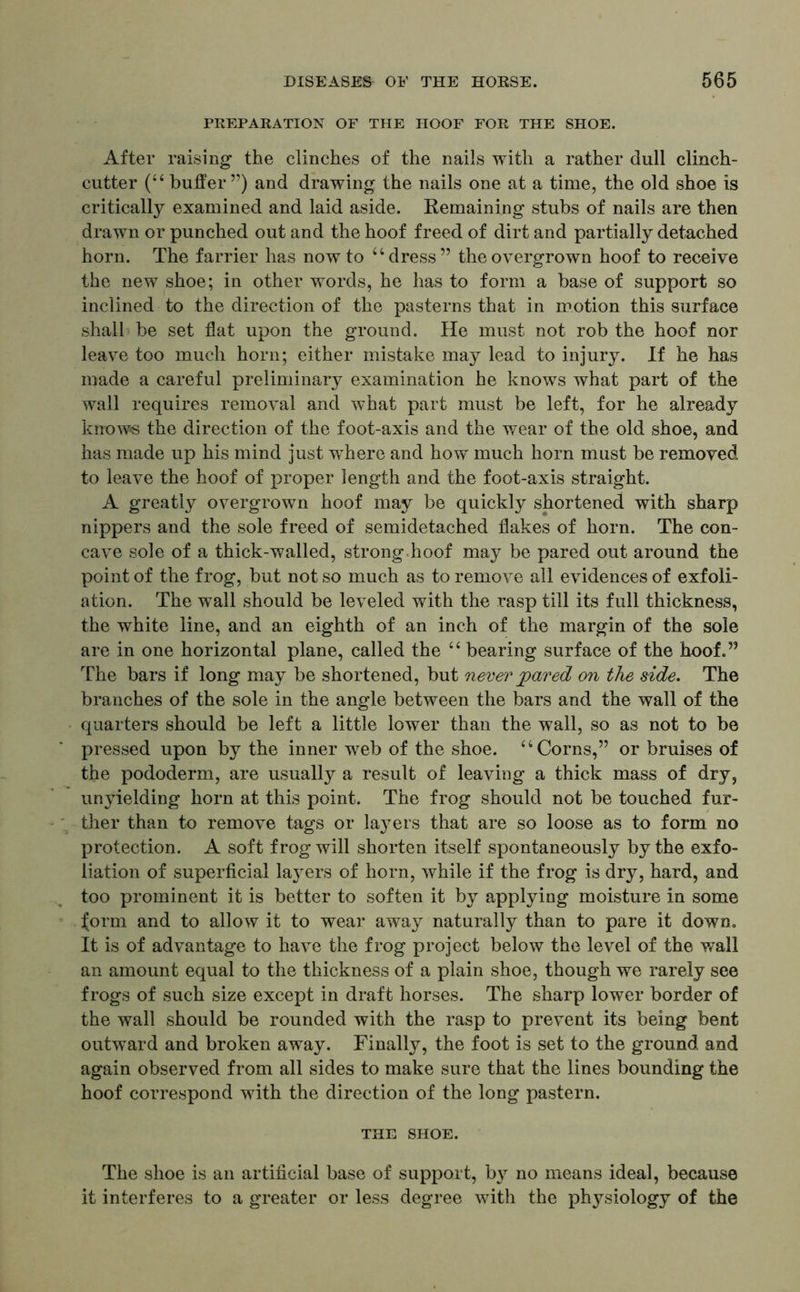 PREPARATION OF THE HOOF FOR THE SHOE. After raising the clinches of the nails with a rather dull clinch- cutter (“buffer”) and drawing the nails one at a time, the old shoe is critically examined and laid aside. Remaining stubs of nails are then drawn or punched out and the hoof freed of dirt and partially detached horn. The farrier has now to “dress” the overgrown hoof to receive the new shoe; in other words, he has to form a base of support so inclined to the direction of the pasterns that in motion this surface shall be set flat upon the ground. He must not rob the hoof nor leave too much horn; either mistake may lead to injury. If he has made a careful preliminary examination he knows what part of the wall requires removal and what part must be left, for he already knows the direction of the foot-axis and the wear of the old shoe, and has made up his mind just where and how much horn must be removed to leave the hoof of proper length and the foot-axis straight. A greatly overgrown hoof may be quickly shortened with sharp nippers and the sole freed of semidetached flakes of horn. The con- cave sole of a thick-walled, strong hoof may be pared out around the point of the frog, but not so much as to remove all evidences of exfoli- ation. The wall should be leveled with the rasp till its full thickness, the white line, and an eighth of an inch of the margin of the sole are in one horizontal plane, called the “ bearing surface of the hoof.” The bars if long may be shortened, but never pared on the side. The branches of the sole in the angle between the bars and the wall of the quarters should be left a little lower than the wall, so as not to be pressed upon by the inner web of the shoe. “ Corns,” or bruises of the pododerm, are usually a result of leaving a thick mass of dry, unyielding horn at this point. The frog should not be touched fur- ther than to remove tags or layers that are so loose as to form no protection. A soft frog will shorten itself spontaneously by the exfo- liation of superficial layers of horn, while if the frog is dry, hard, and too prominent it is better to soften it by applying moisture in some j[orm and to allow it to wear away naturally than to pare it down. It is of advantage to have the frog project below the level of the wail an amount equal to the thickness of a plain shoe, though we rarely see frogs of such size except in draft horses. The sharp lower border of the wall should be rounded with the rasp to prevent its being bent outward and broken away. Finally, the foot is set to the ground and again observed from all sides to make sure that the lines bounding the hoof correspond with the direction of the long pastern. THE SHOE. The shoe is an artificial base of support, by no means ideal, because it interferes to a greater or less degree with the physiology of the