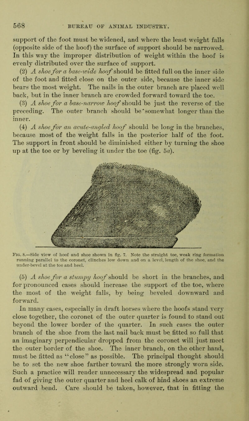 support of the foot must be widened, and where the least weight falls (opposite side of the hoof) the surface of support should be narrowed. In this way the improper distribution of weight within the hoof is evenly distributed over the surface of support. (2) A shoe for a base-wide hoof should be fitted full on the inner side of the foot and fitted close on the outer side, because the inner side bears the most weight. The nails in the outer branch are placed well back, but in the inner branch are crowded forward toward the toe. (3) A shoe for a base-narrow hoof should be just the reverse of the preceding. The outer branch should be‘somewhat longer than the inner. (4) A shoe f o?' an acute-angled hoof should be long in the branches, because most of the weight falls in the posterior half of the foot. The support in front should be diminished either by turning the shoe up at the toe or by beveling it under the toe (fig. 5a). Fig. 8.—Side view of hoof and shoe shown in fig. 7. Note the straight toe, weak ring formation running parallel to the coronet, clinches low down and on a level, length of the shoe, and the under-bevel at the toe and heel. (5) A shoe for a stumpy hoof should be short in the branches, and for pronounced cases should increase the support of the toe, where the most of the weight falls, b}^ being beveled downward and forward. In many cases, especially in draft horses where the hoofs stand very close together, the coronet of the outer quarter is found to stand out beyond the lower border of the quarter. In such cases the outer branch of the shoe from the last nail back must be fitted so full that an imaginary perpendicular dropped from the coronet will just meet the outer border of the shoe. The inner branch, on the other hand, must be fitted as 46close” as possible. The principal thought should be to set the new shoe farther toward the more strongly worn side. Such a practice will render unnecessary the widespread and popular fad of giving the outer quarter and heel calk of hind shoes an extreme outward bend. Care should be taken, however, that in fitting the