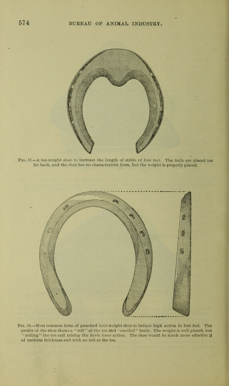 Fig. 17.—A toe-weight shoe to increase the length of stride of fore feet. The nails are placed too far back, and the shoe has no characteristic form, but the weight is properly placed. Fig. 18.—Most common form of punched heel-weight shoe to induce high action in fore feet. The profile of the shoe shows a “ roll ” at the toe and “swelled” heels. The weight is well placed, but “ rolling” the toe and raising the heels lower action. The shoe would be much more effective if of uniform thickness and with no roll at the toe.