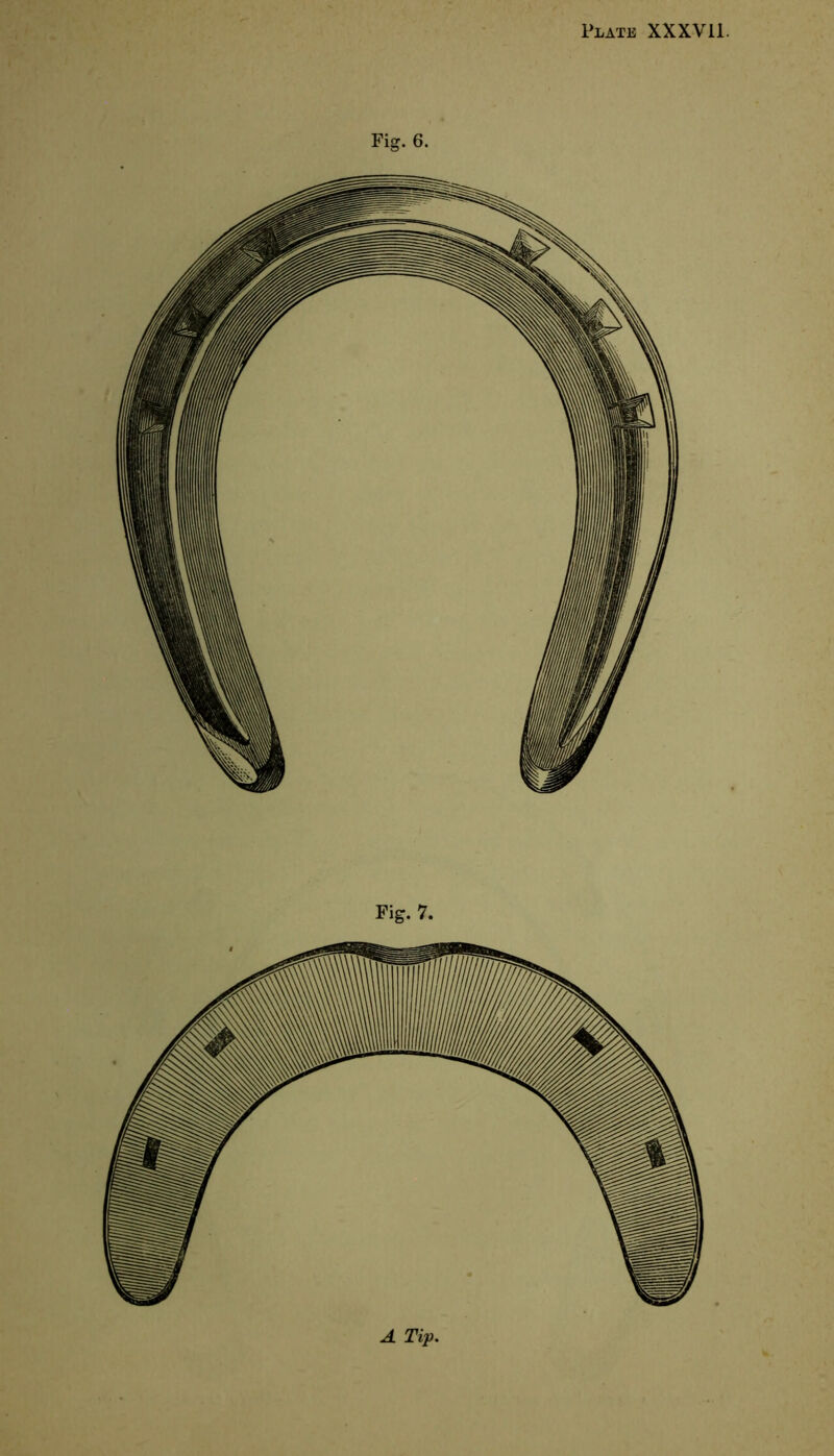 Fig. 6. Fig. 7. A Tip.