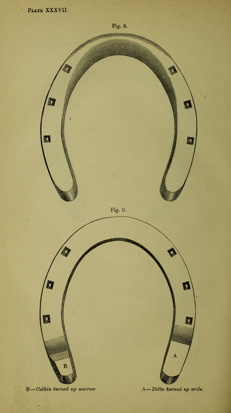 Fig. 8. B—Calkin turned up narrow A—Ditto turned up voide.